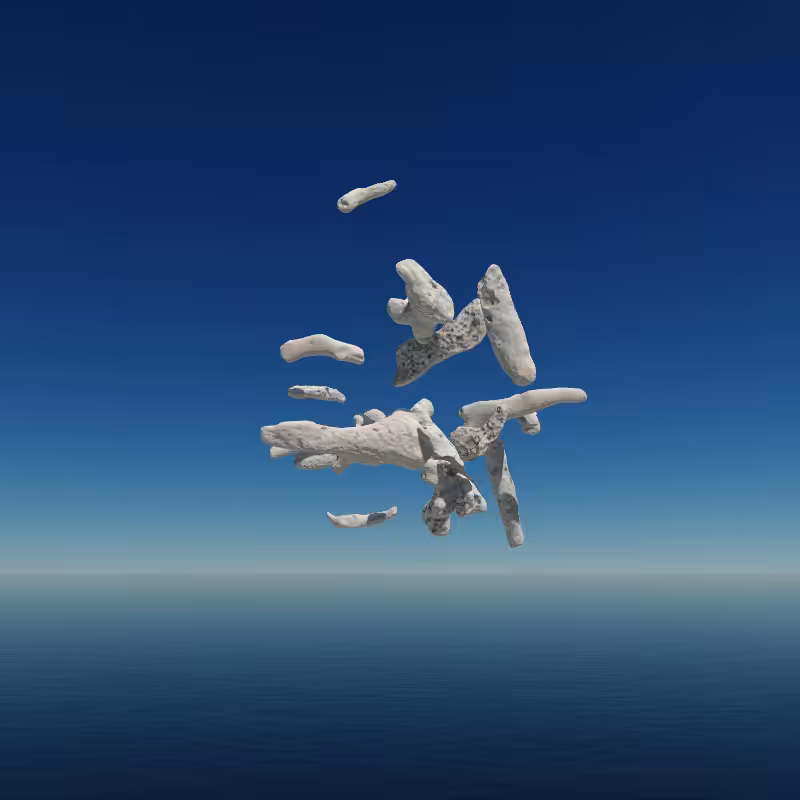 Bone Work (Gulf of Mexico) 2022 #107