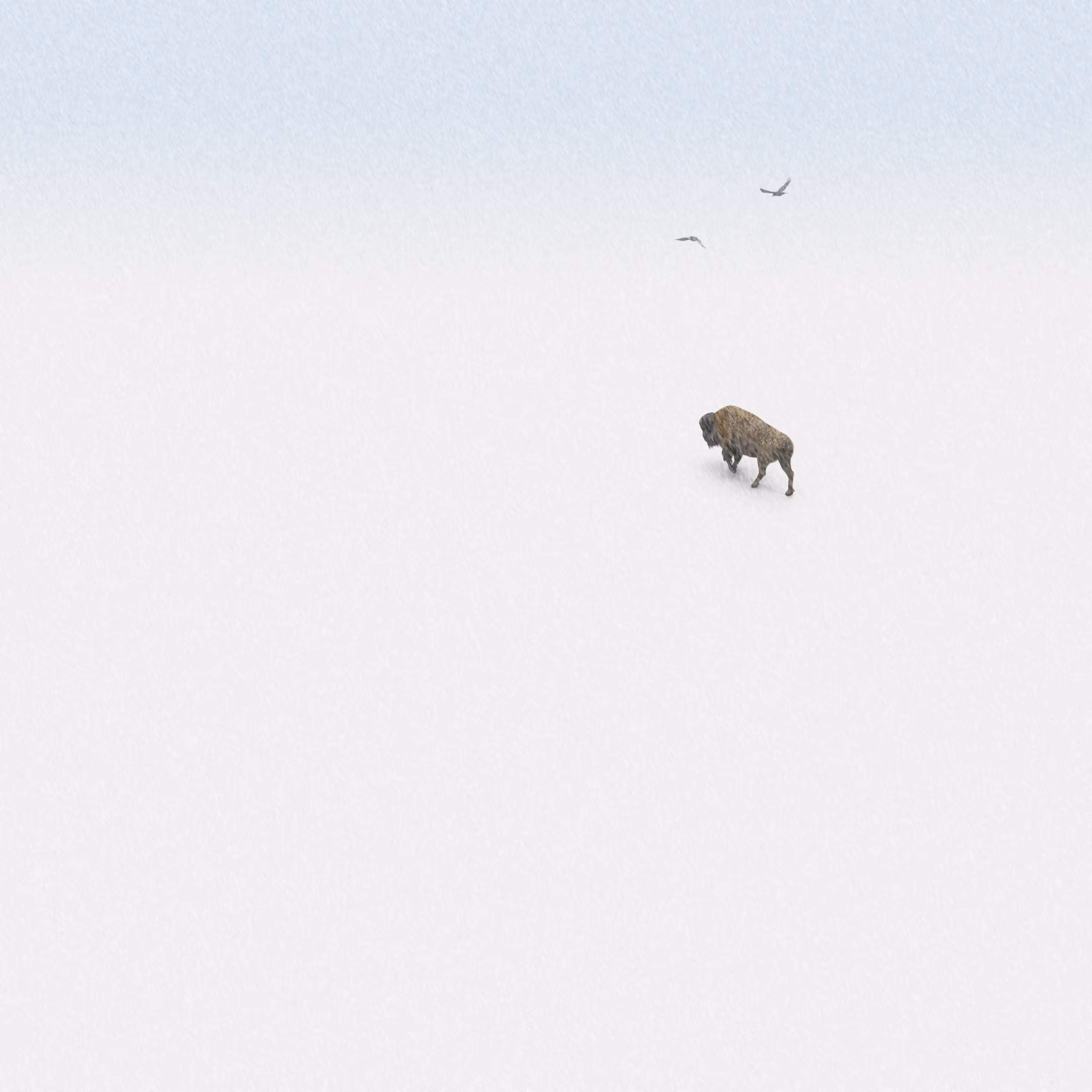 Adversity