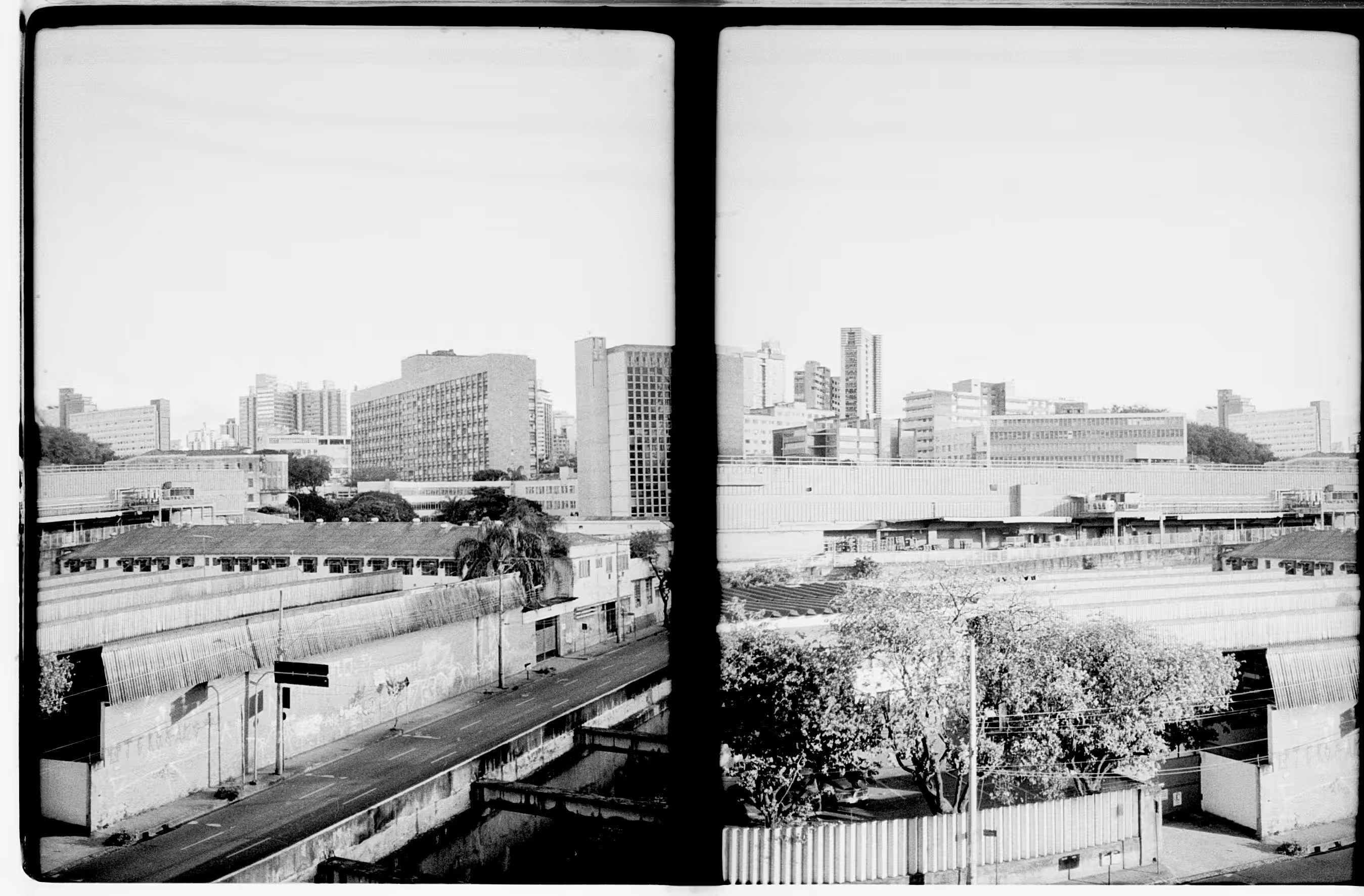 FULL_LIFE_HALF_FRAME
