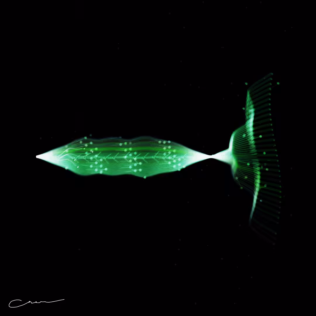 SoulFish #249