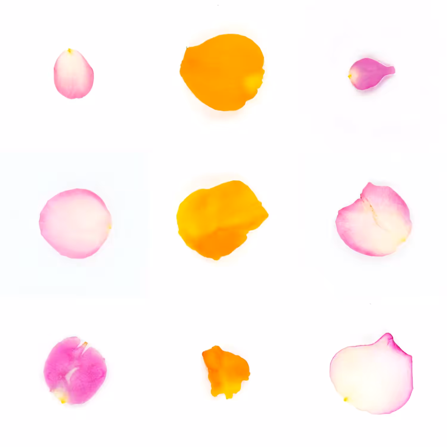 Infinite Petals 3x3#3560