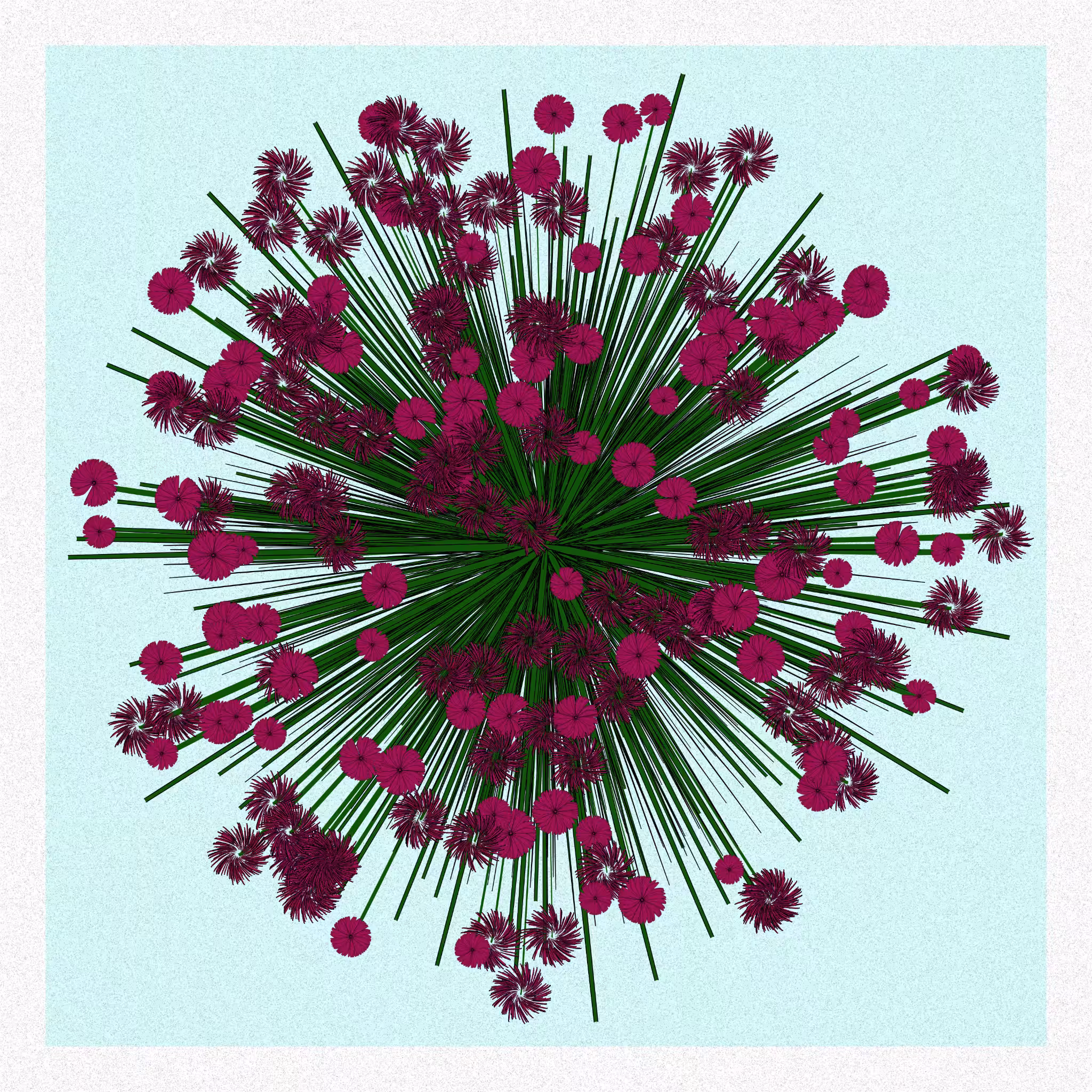 Flowers #208