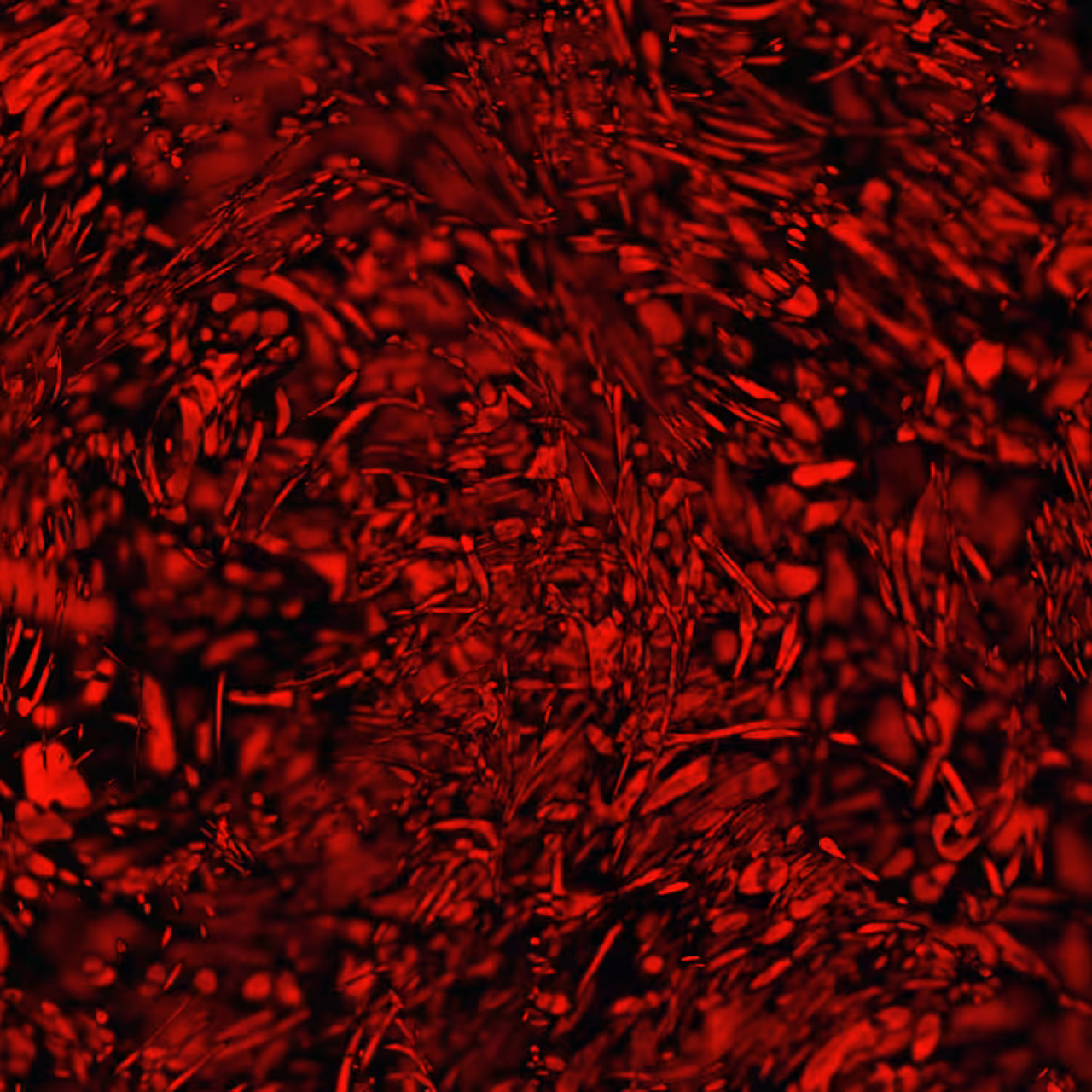 Walk through incandessence