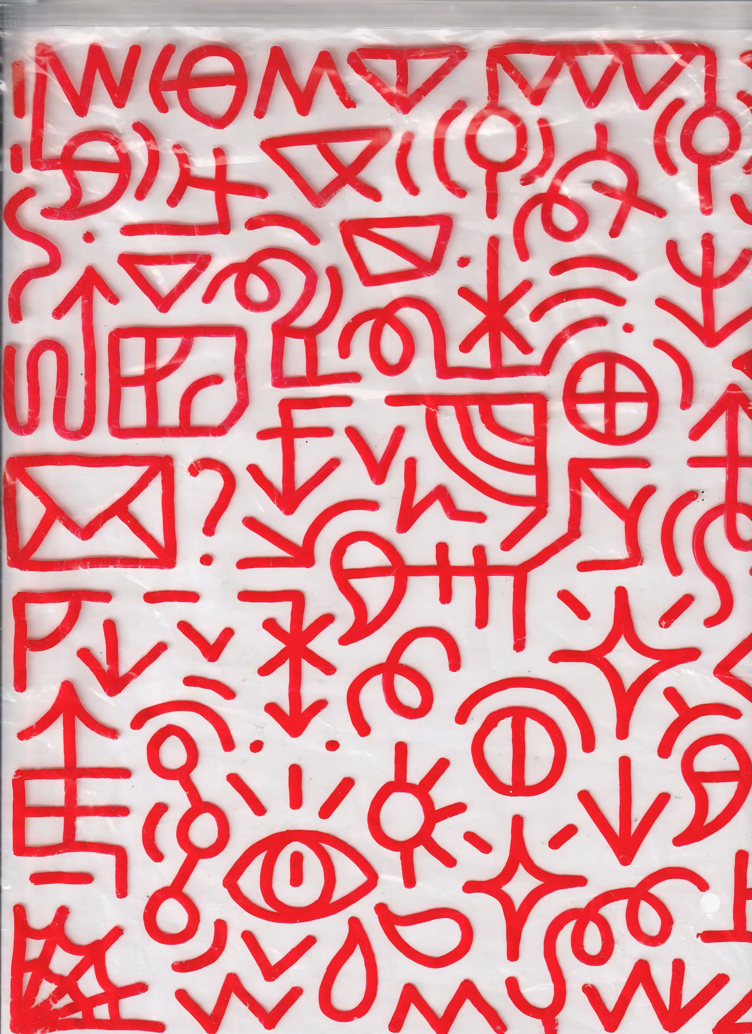 Ziploc Bag
