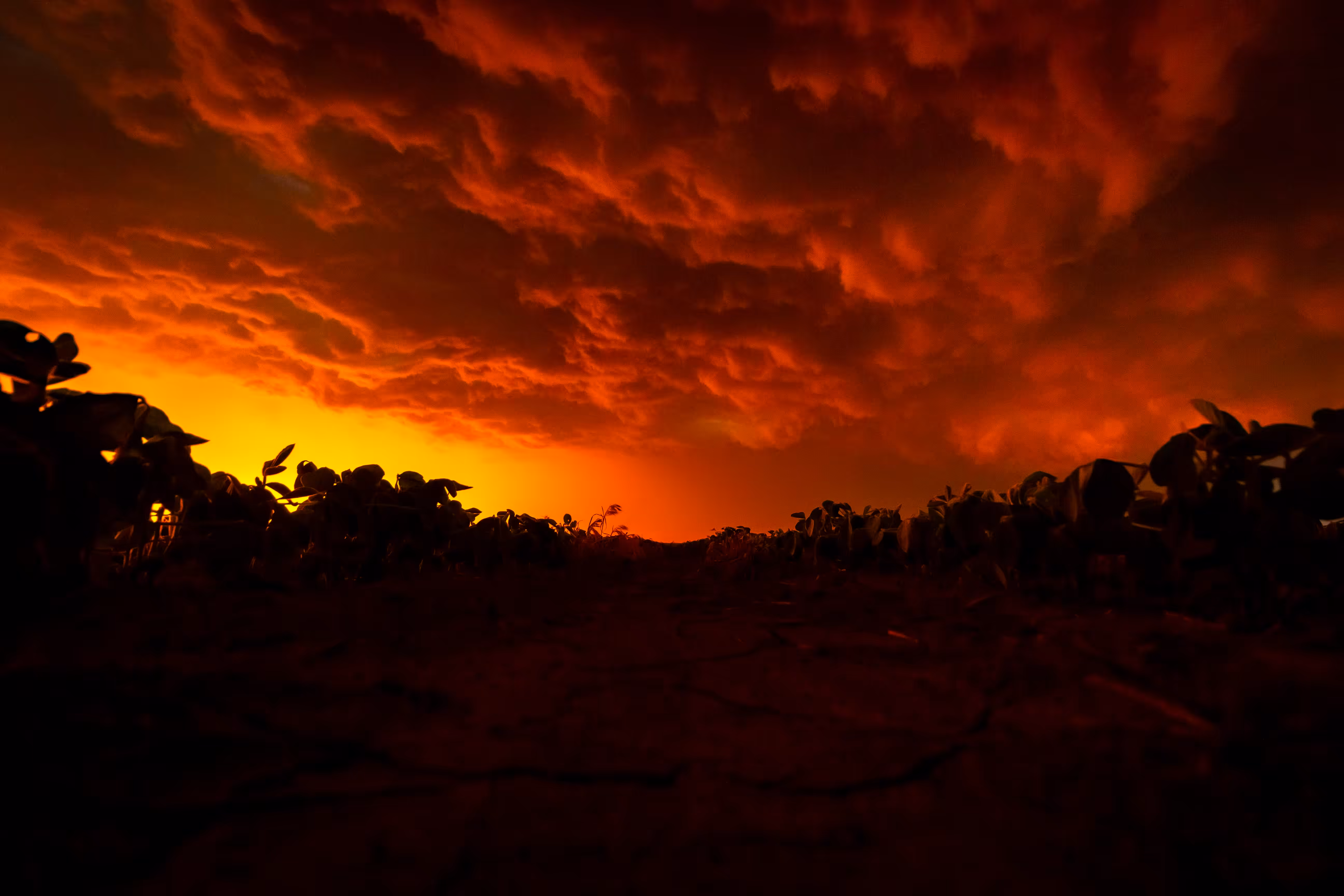 Upheaval 
