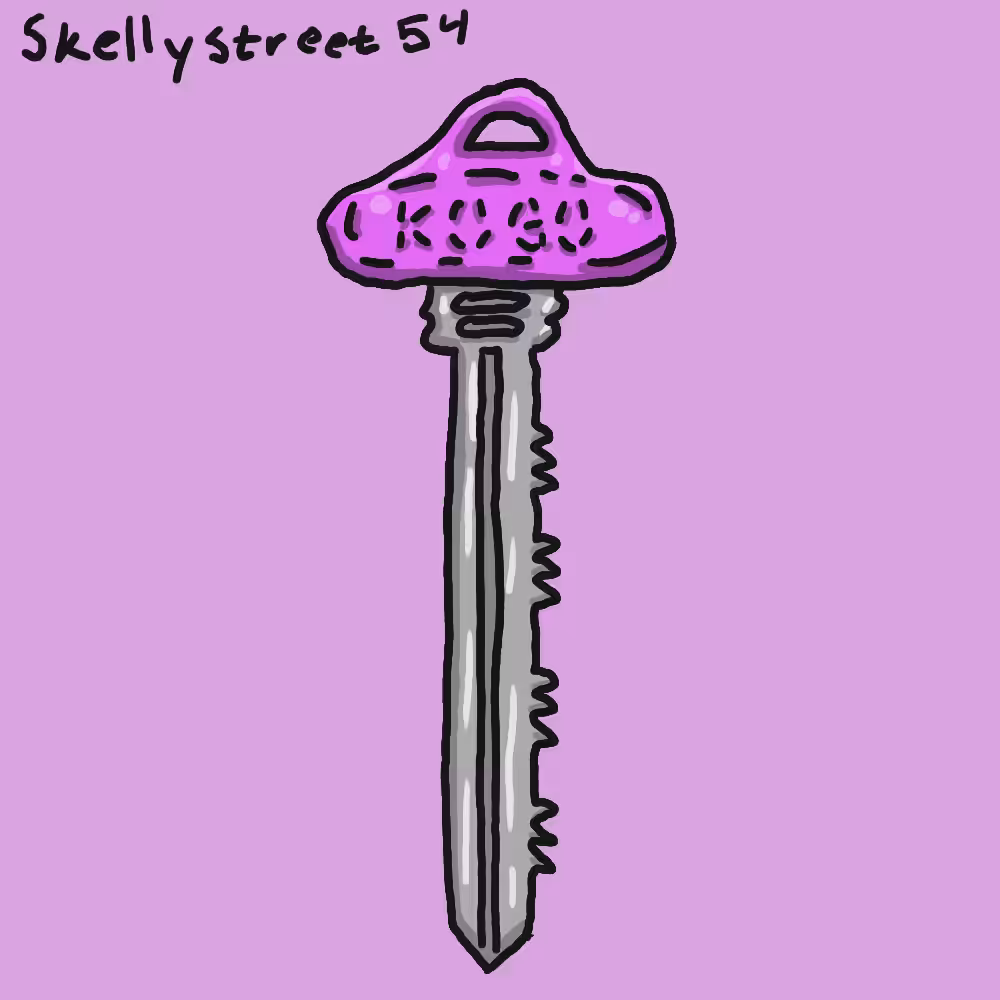 Skellystreet 54