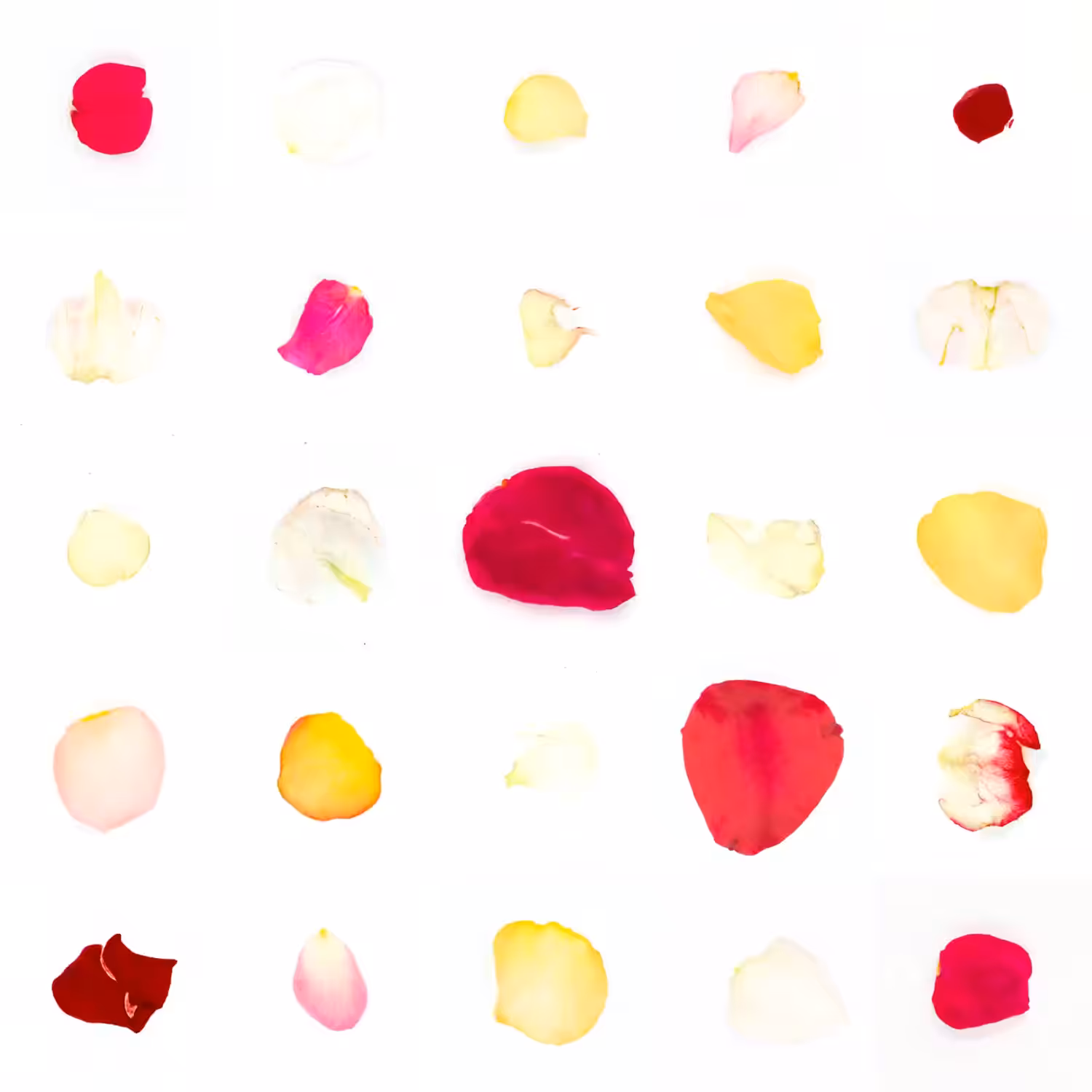 Infinite Petals 5x5#170