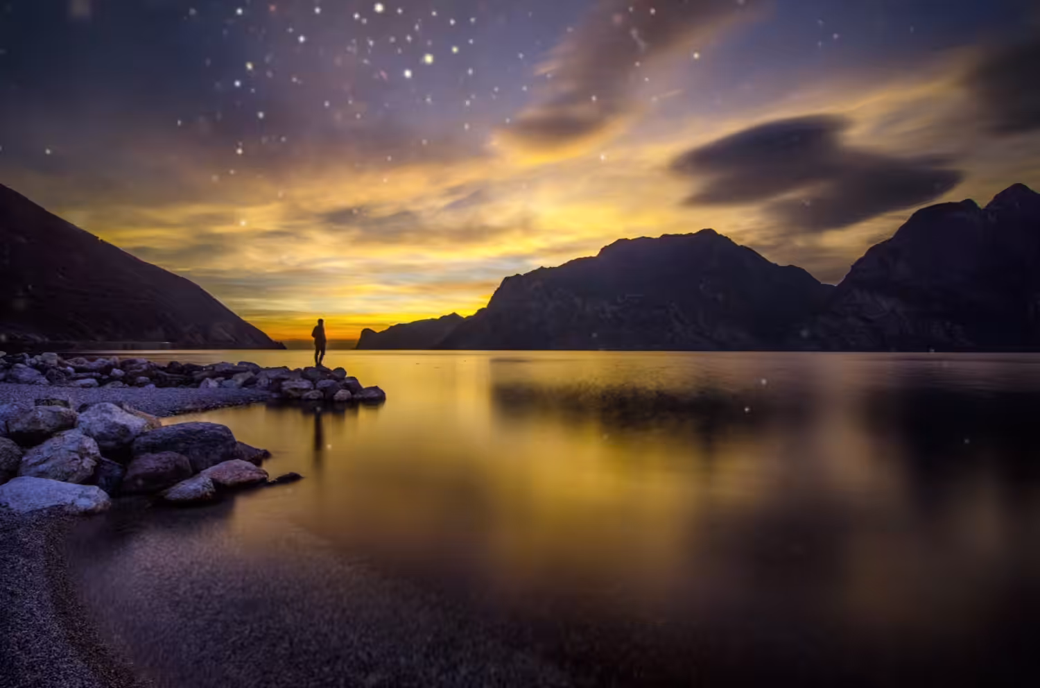 The Golden Silhouette