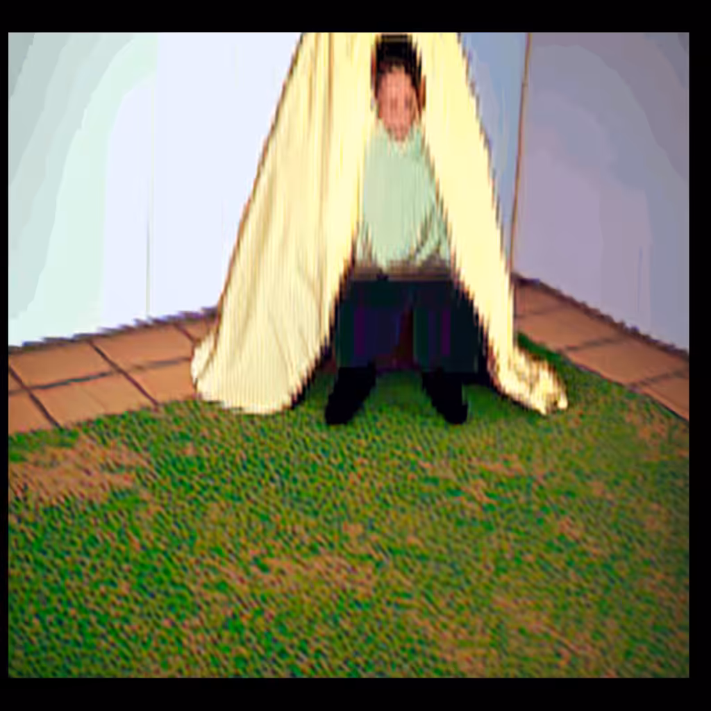 shelter