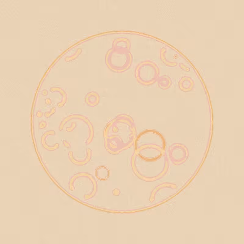 Cheap Petri Dish #55