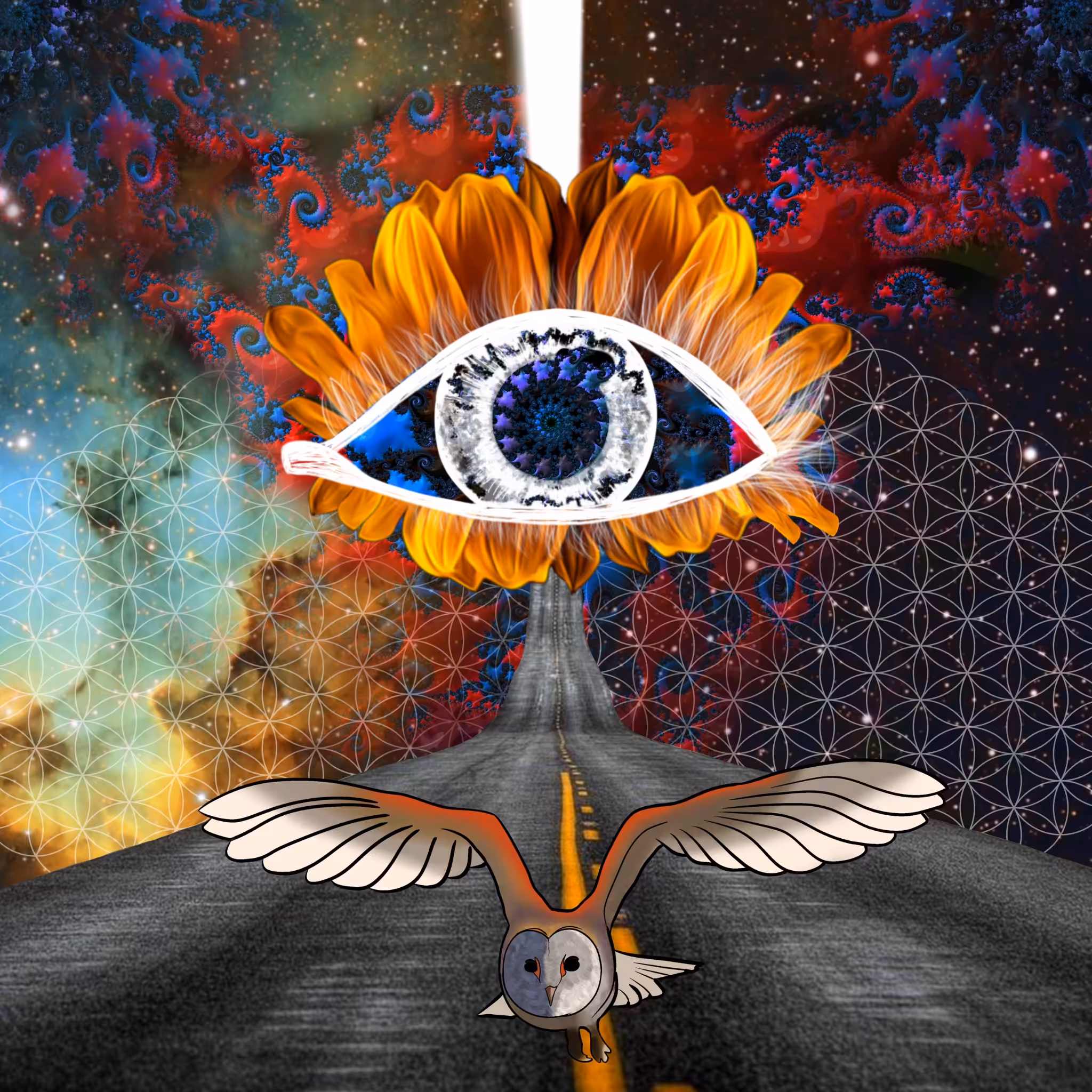 Way of Enlightenment