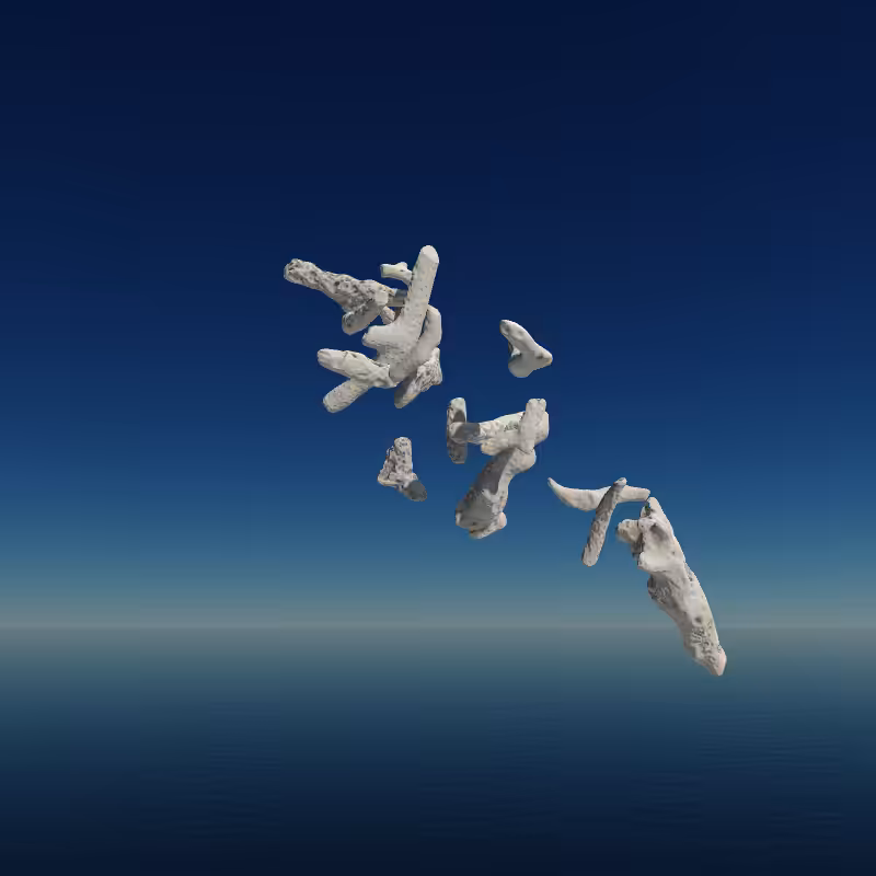 Bone Work (Gulf of Mexico) 2022 #106