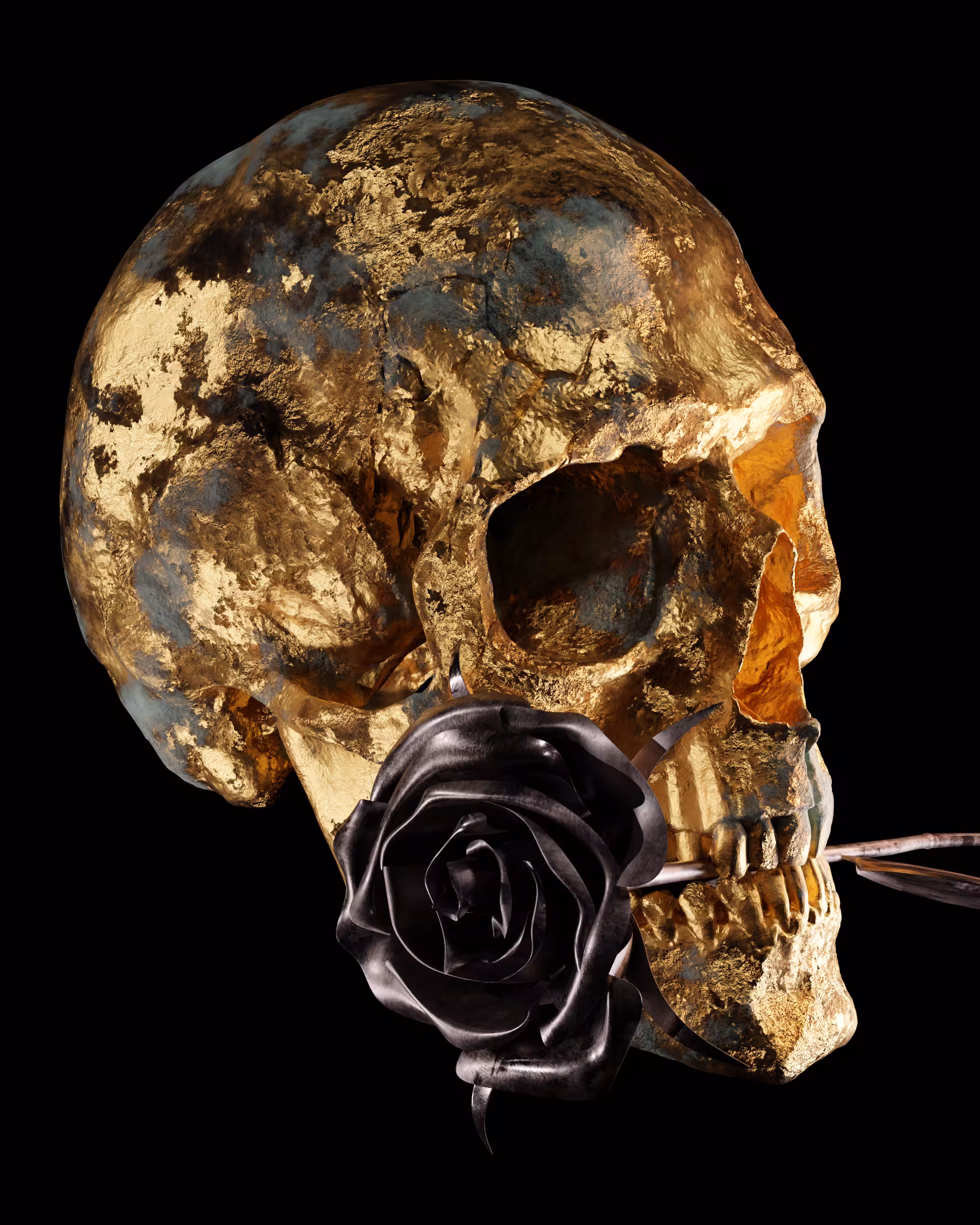 Weathered Skull