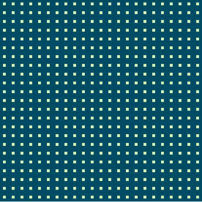 INTERACTIVE - Hide n Seek #6