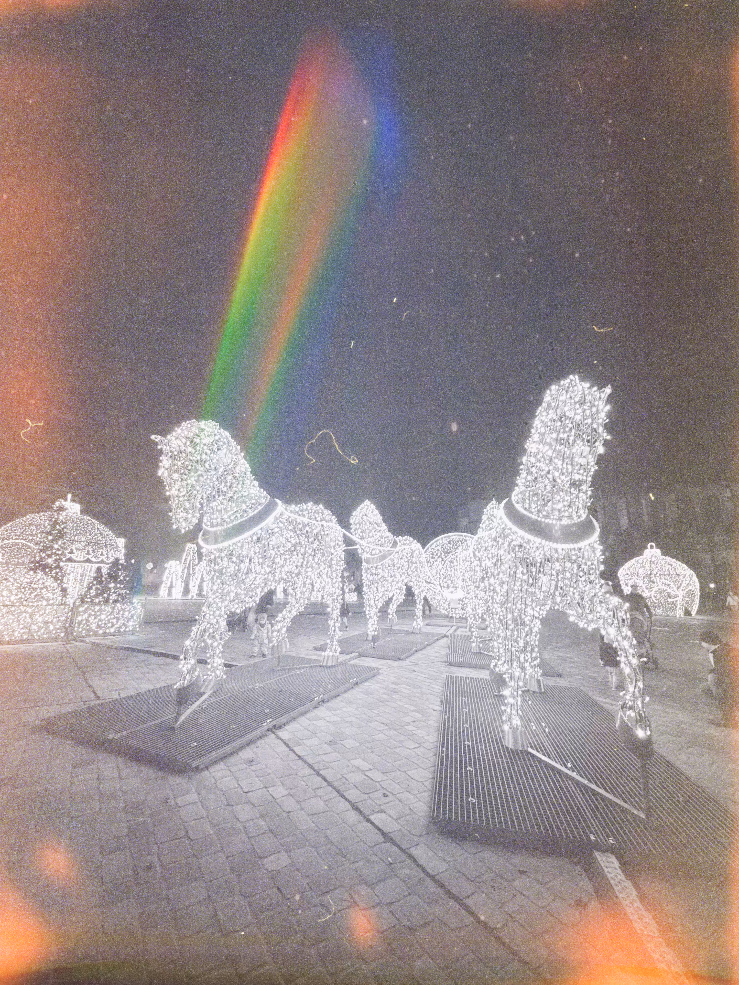Light horses 