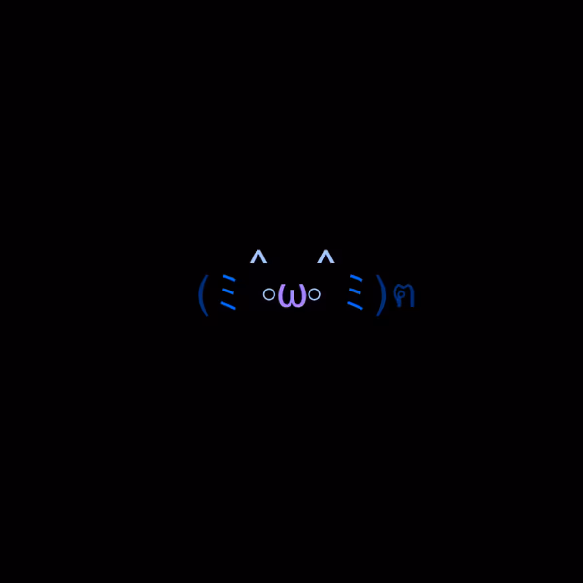 cats #9764
