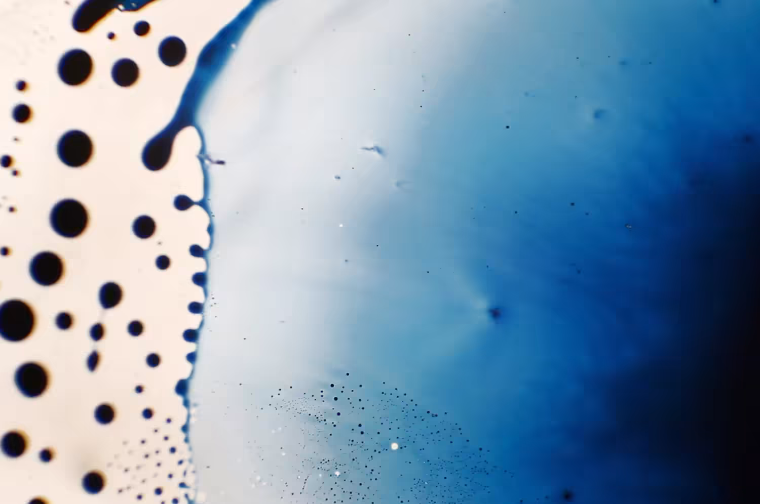 PS—36