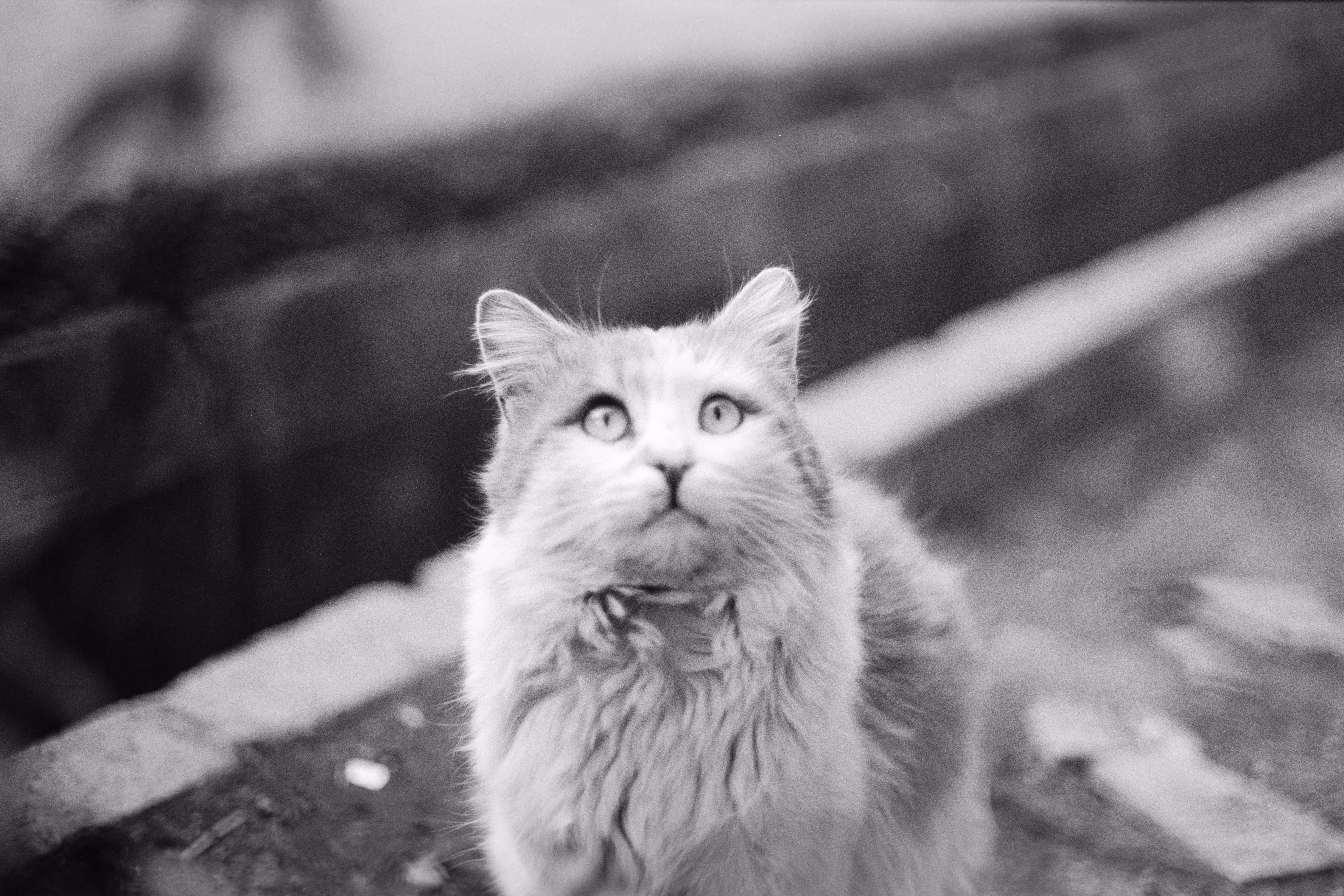 Strange Eyes