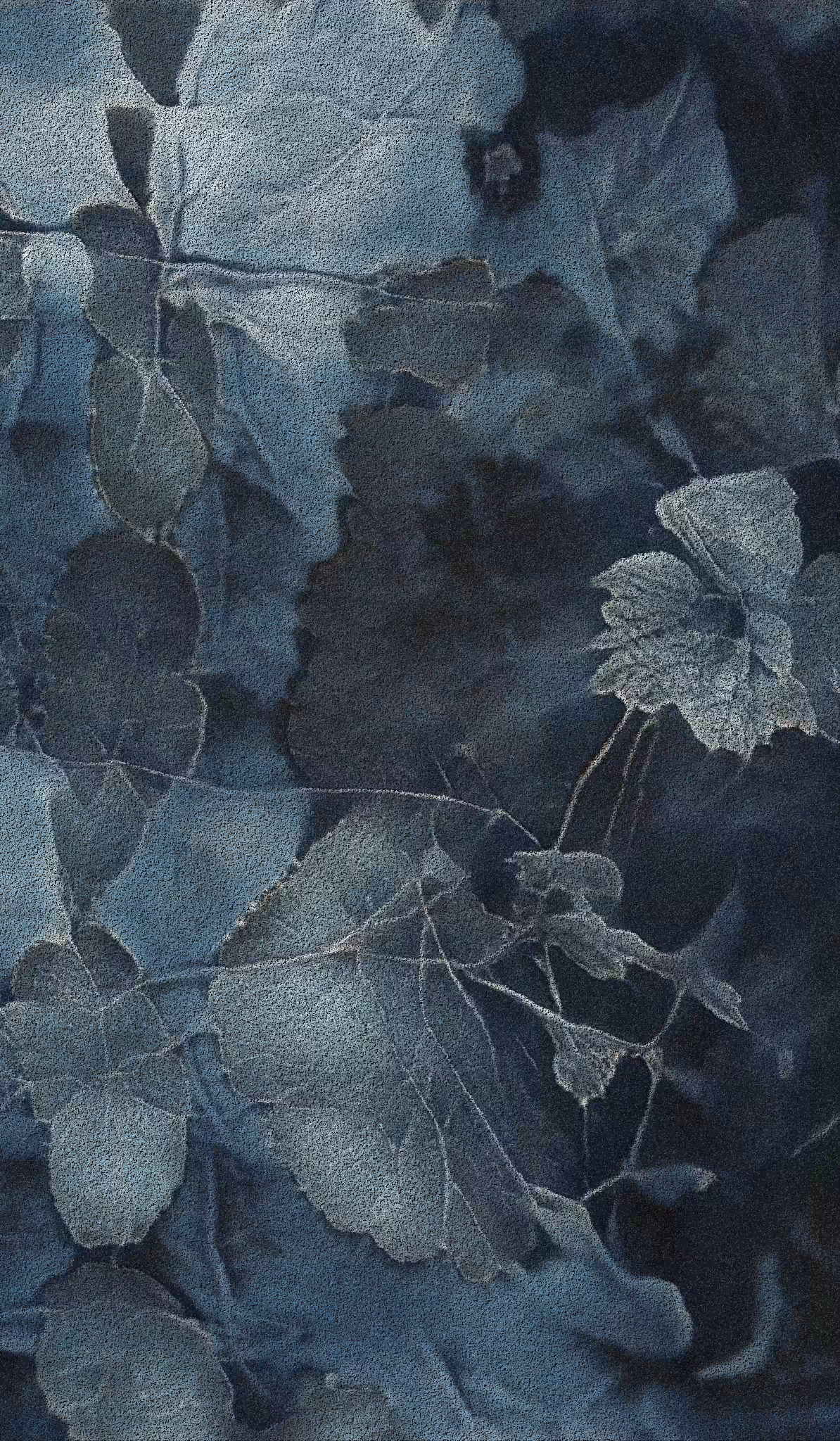 APPARATUS-VITIS: Apparatus Vitis #17
