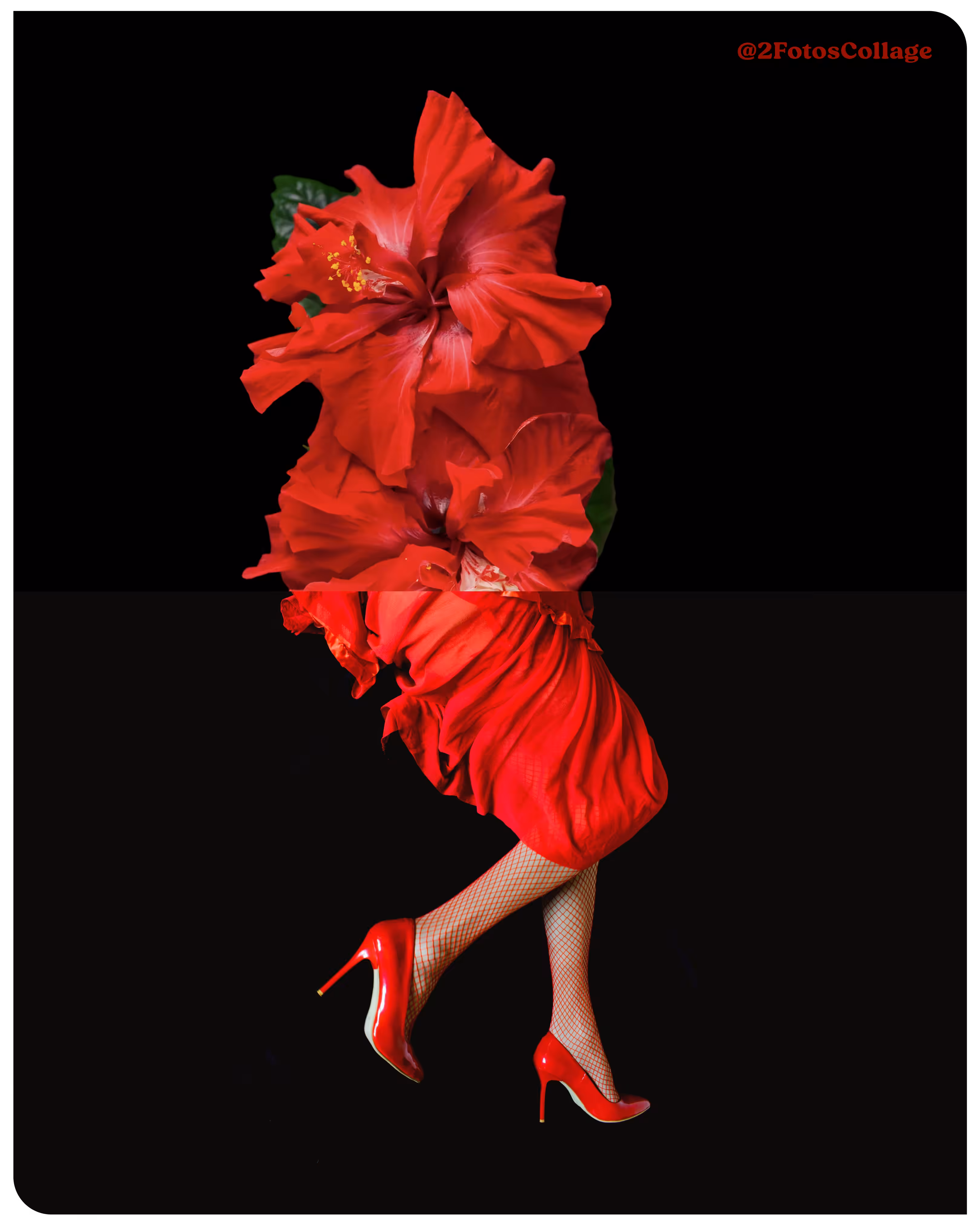 2FotosCollage RedWoman