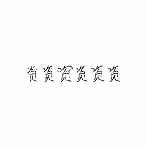 资 : Capital; resource