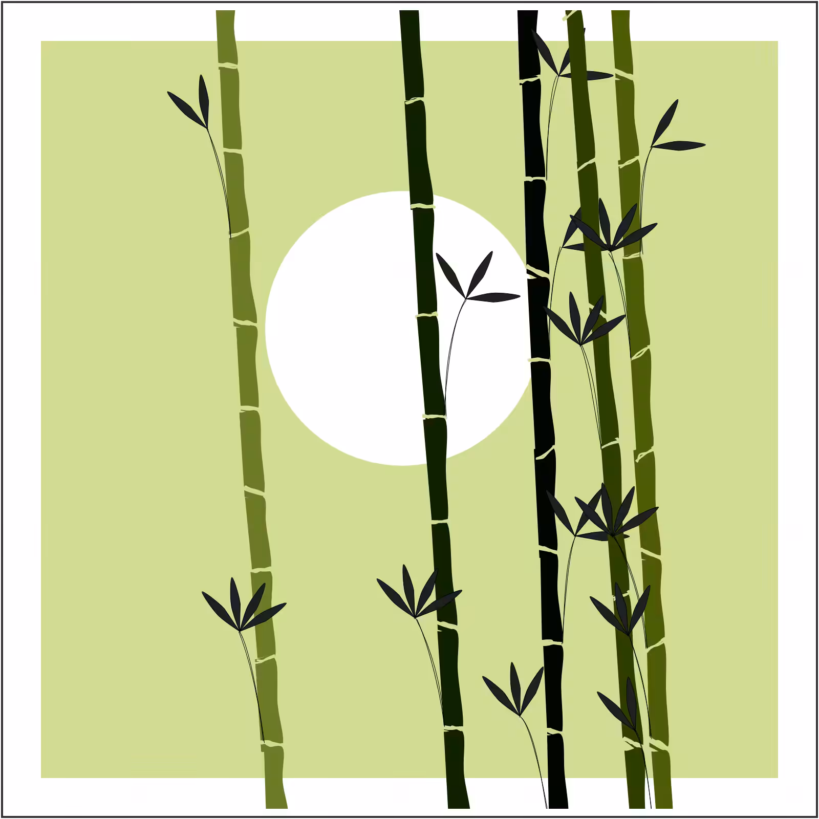 Bamboo and Beyond #3