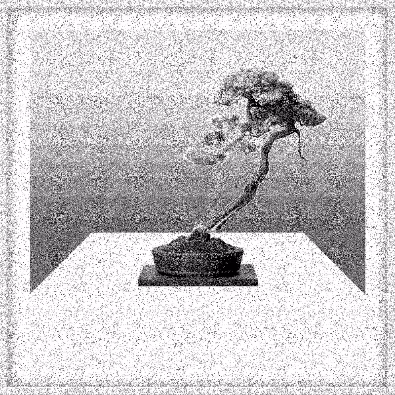 Bonsai Bonanza #382
