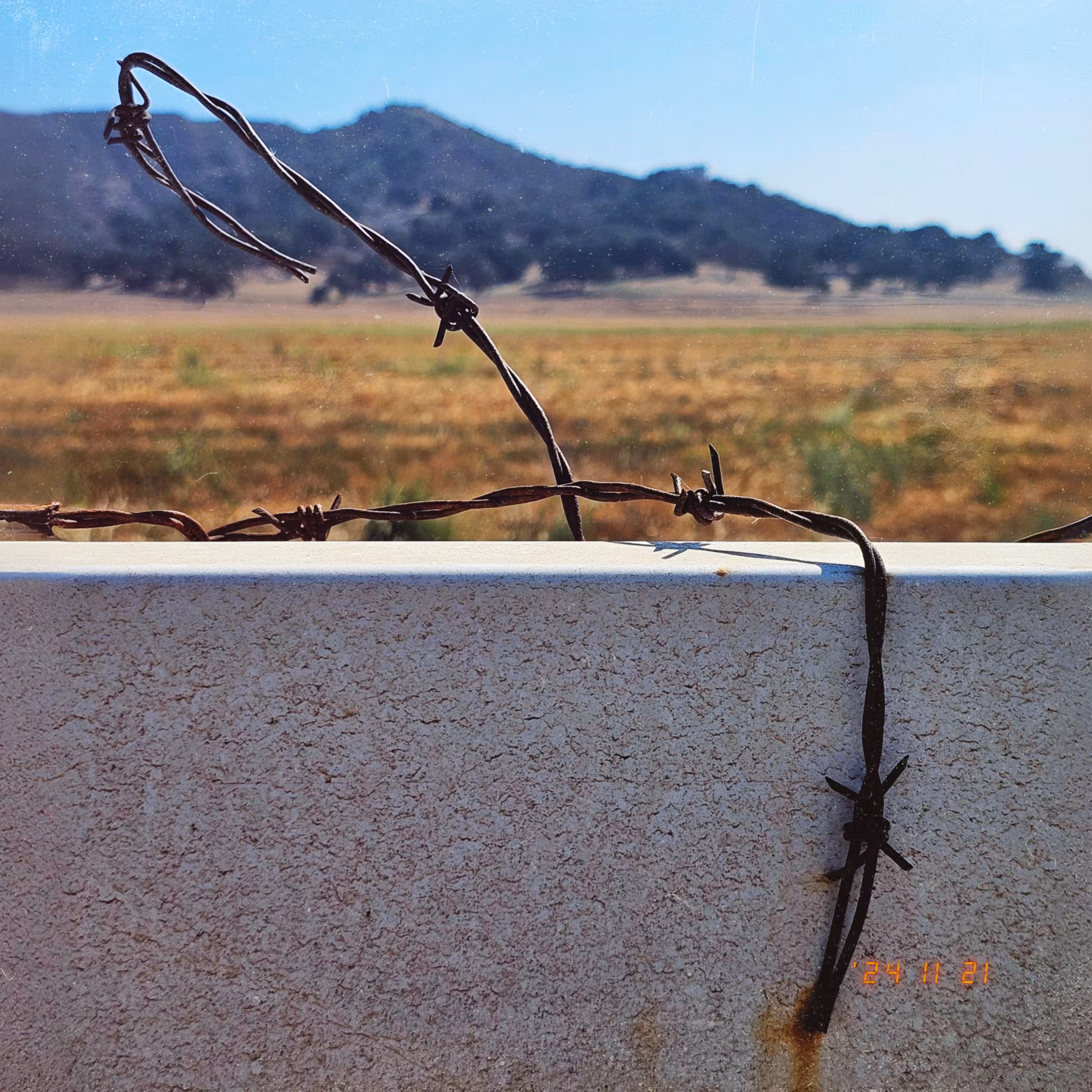 :a Visual Odyssey:: Day 326/365