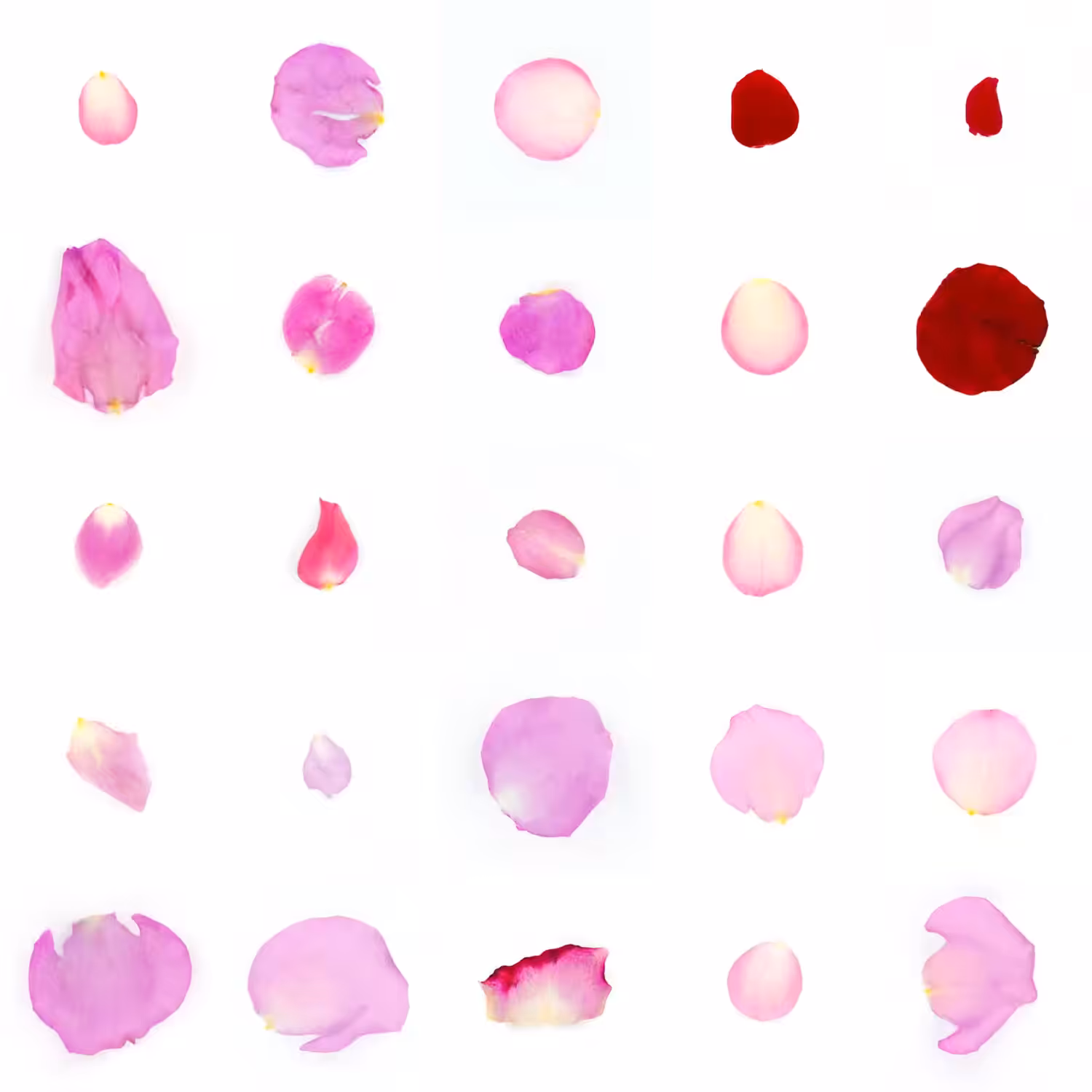 Infinite Petals 5x5#21414
