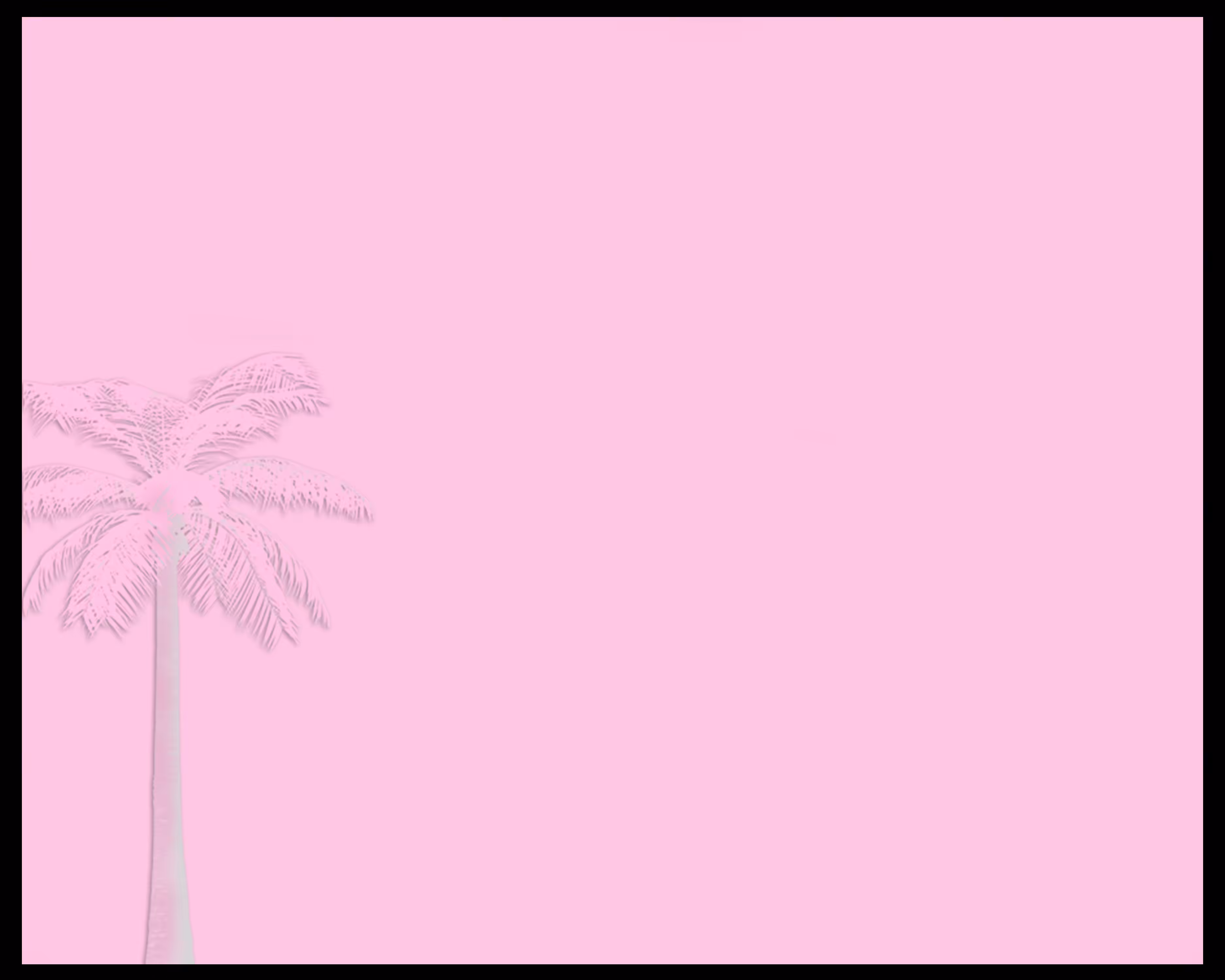 Palm Tree