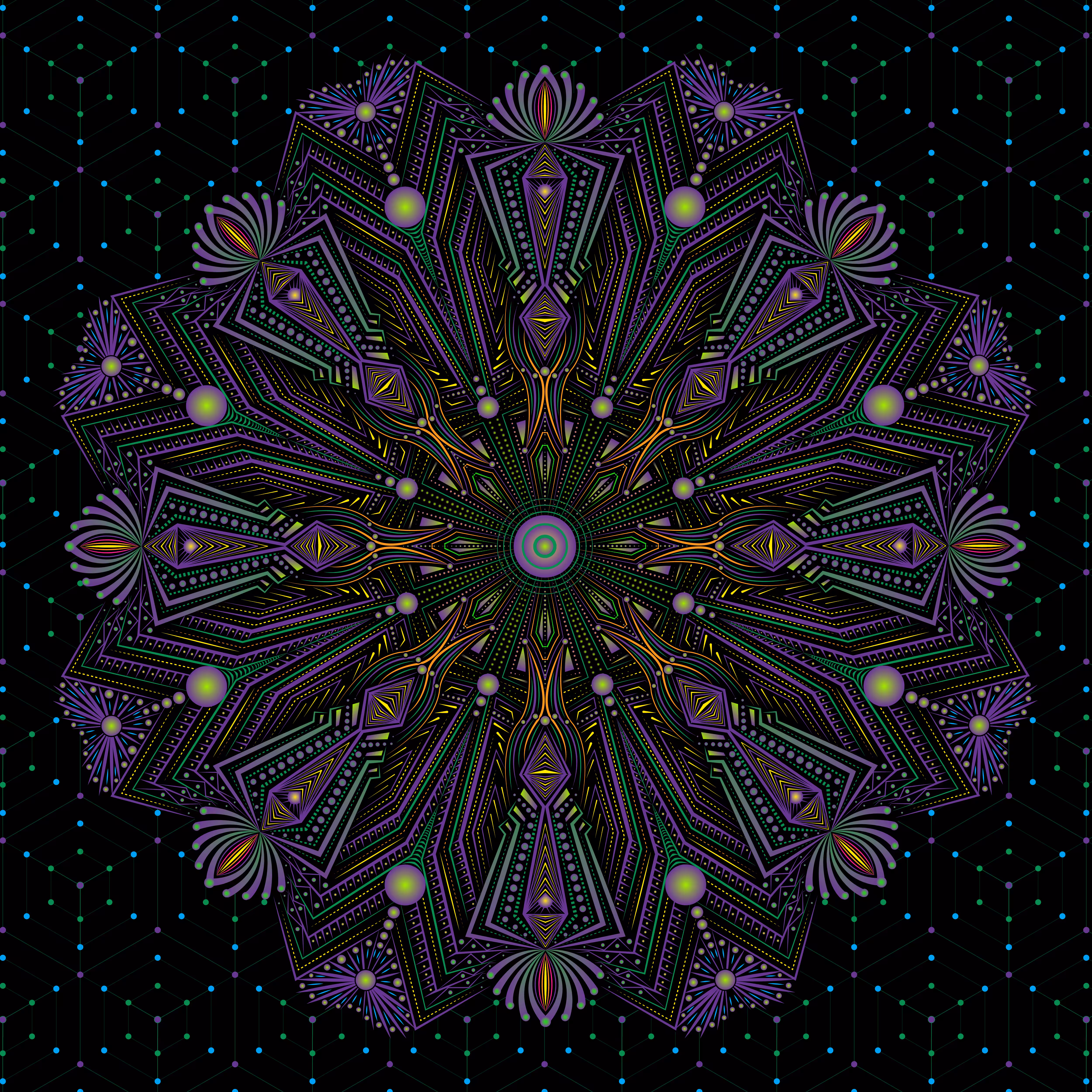 Cosmic Seed