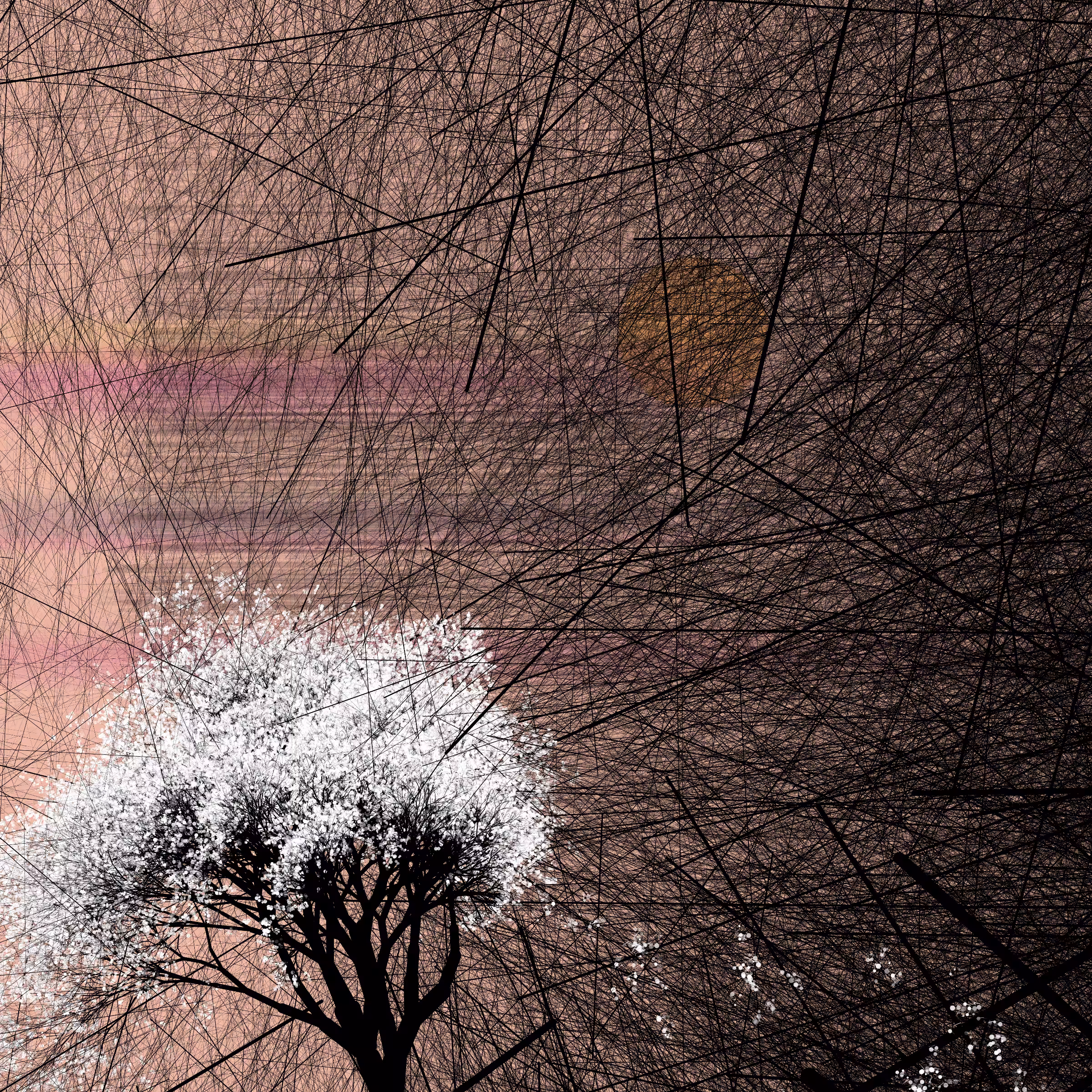 conversation with the wind #161