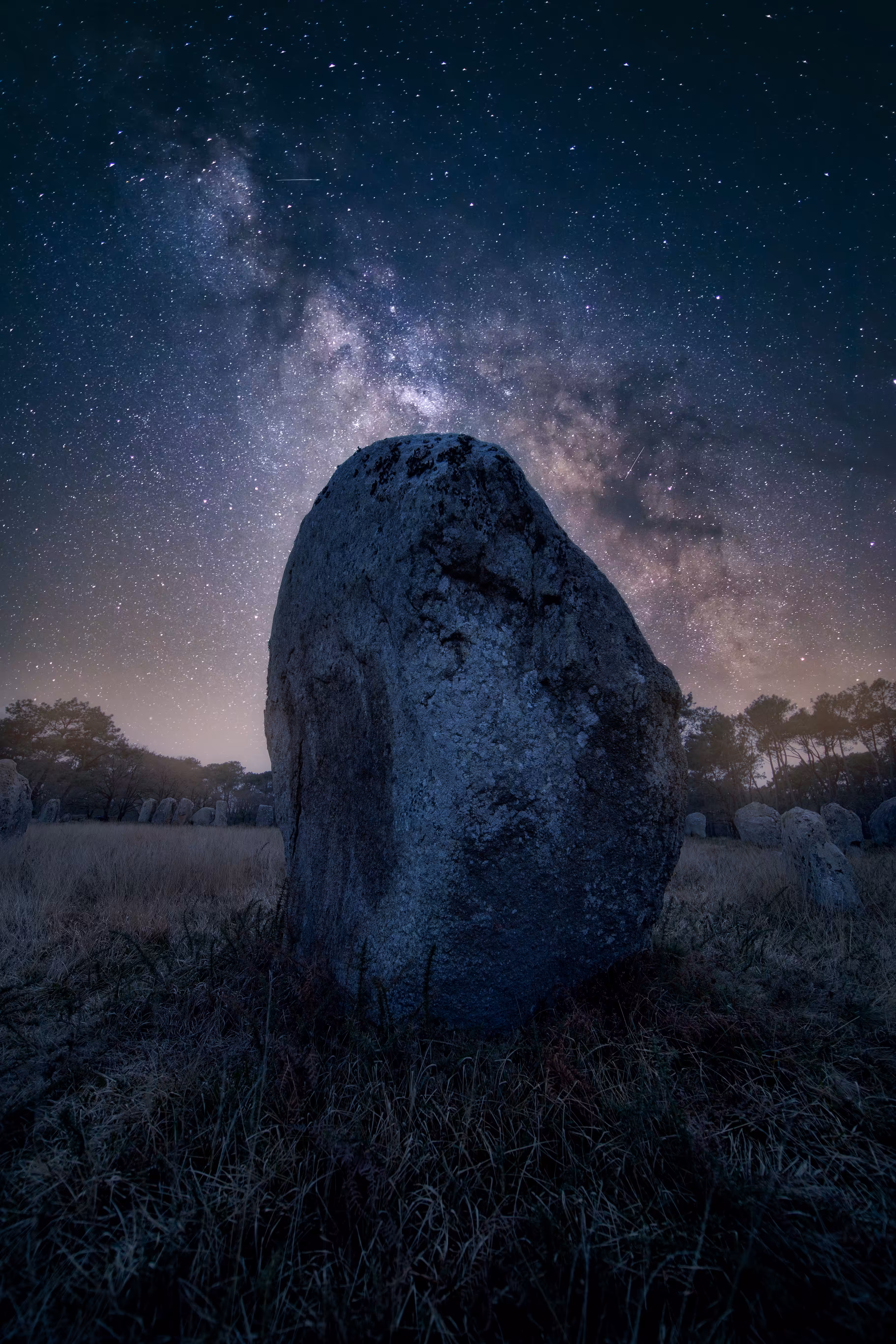 Call of the druids