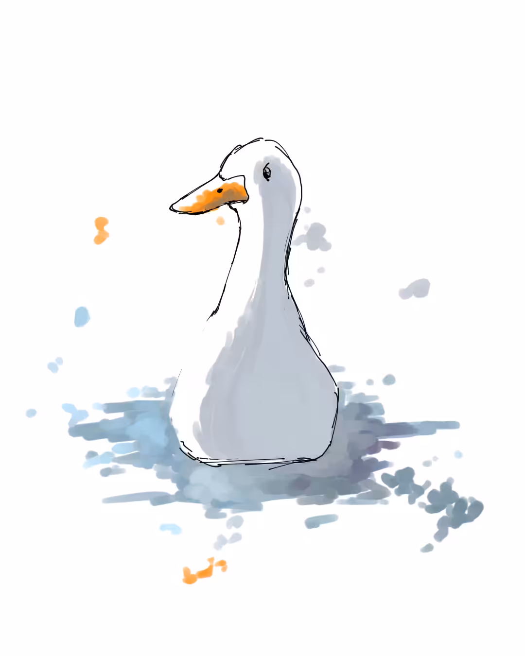 Duck