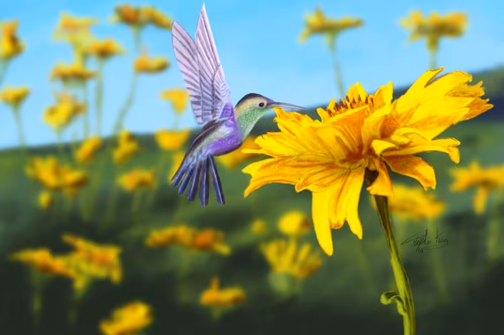 Hummingbird In The Garden