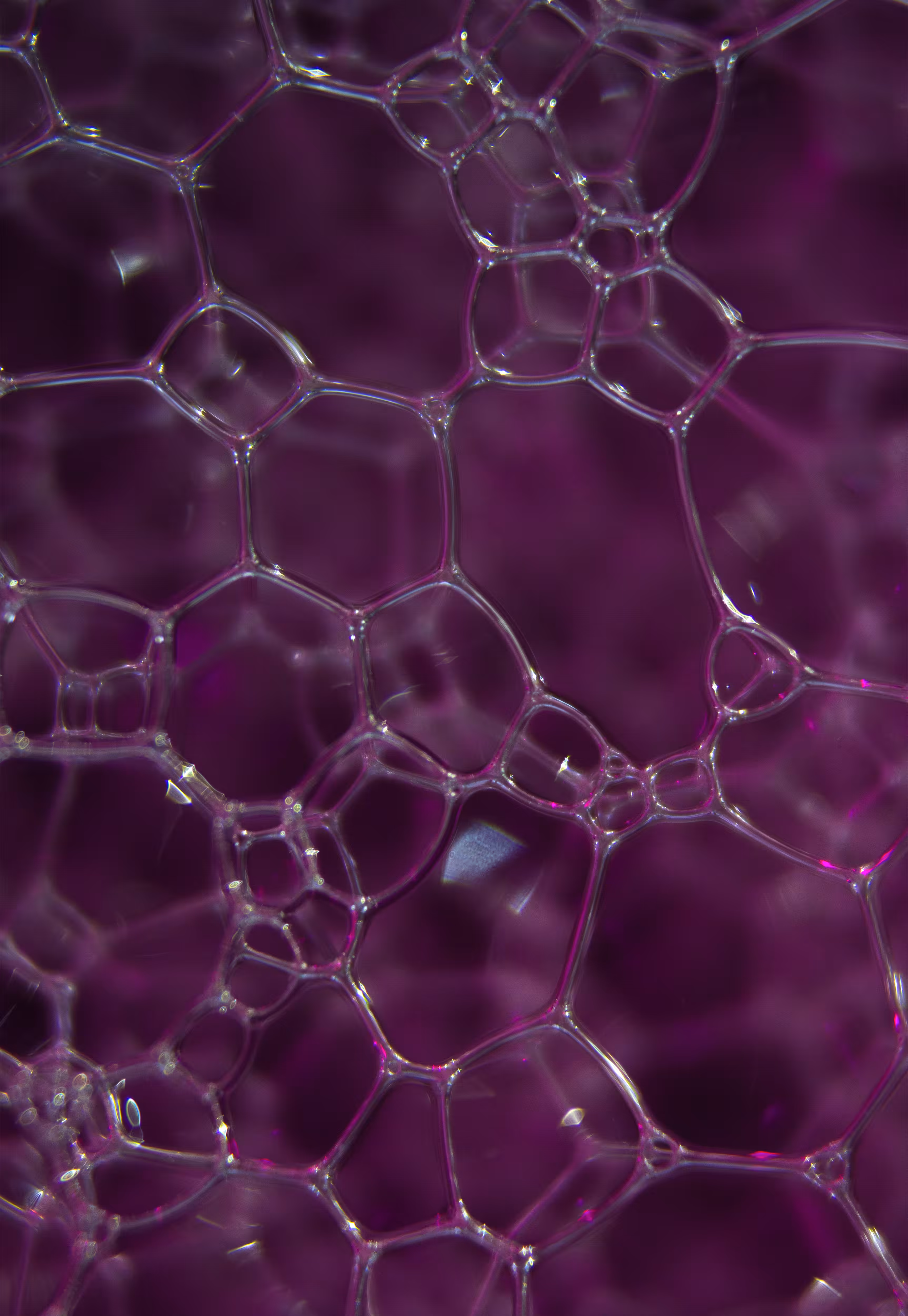 Abstract World of Soap Bubbles: #184 Bubbles