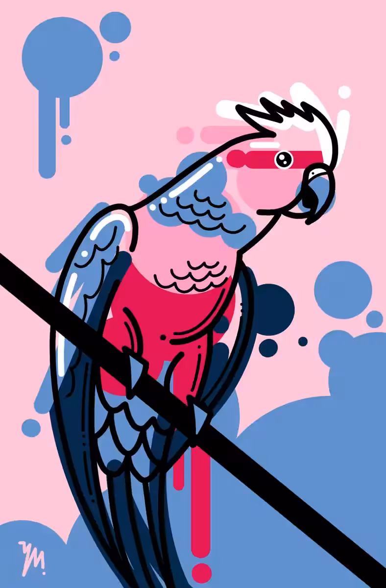 Galah - Unordinary Palometas