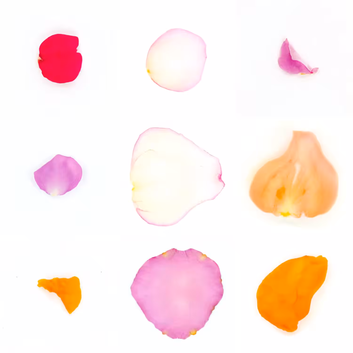 Infinite Petals 3x3#309