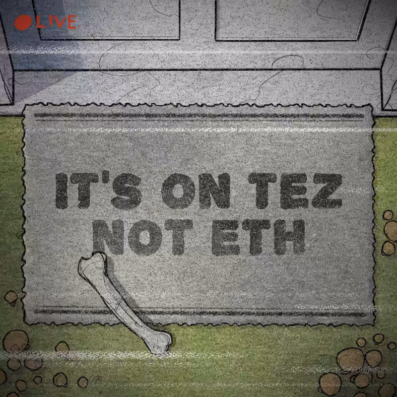 NOT A RUG #71