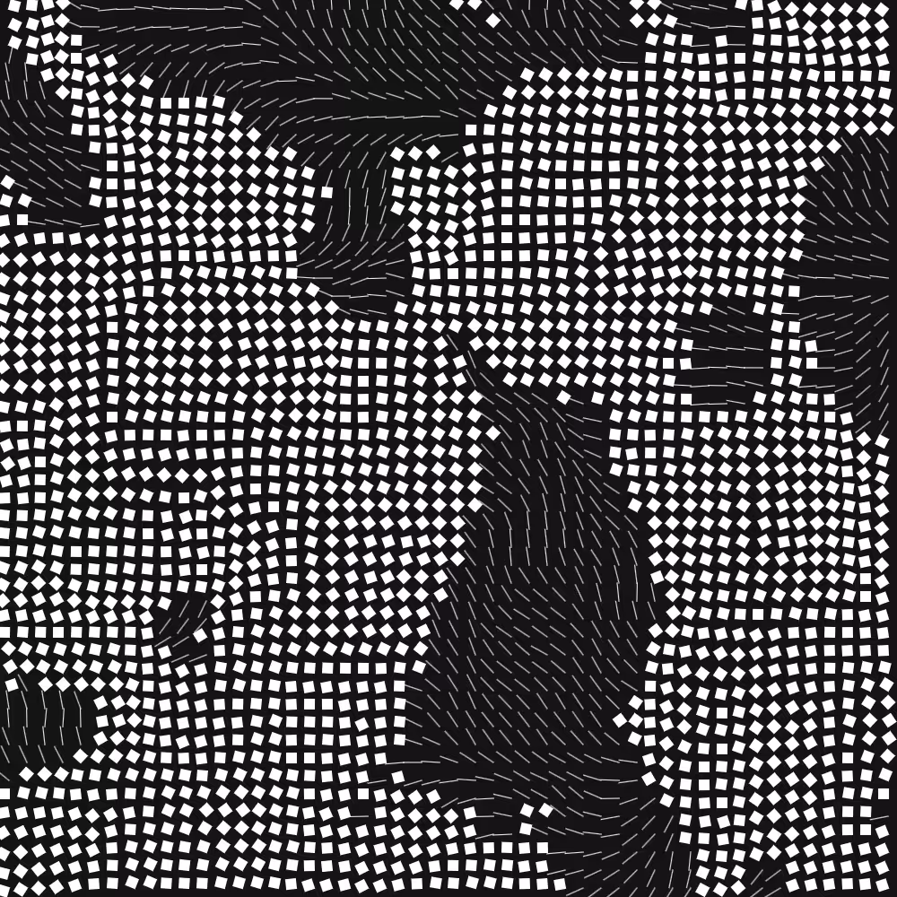 Geometric Fluidity #891