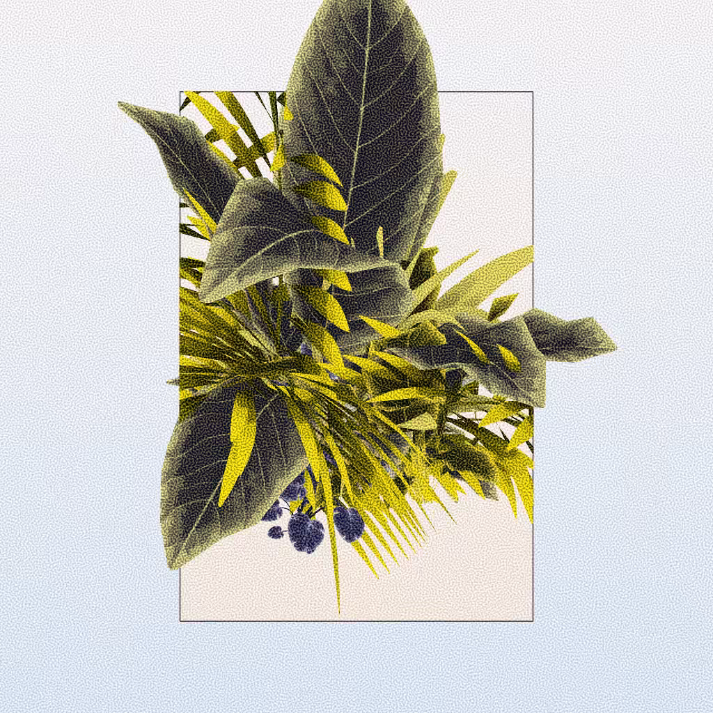 Botany #180