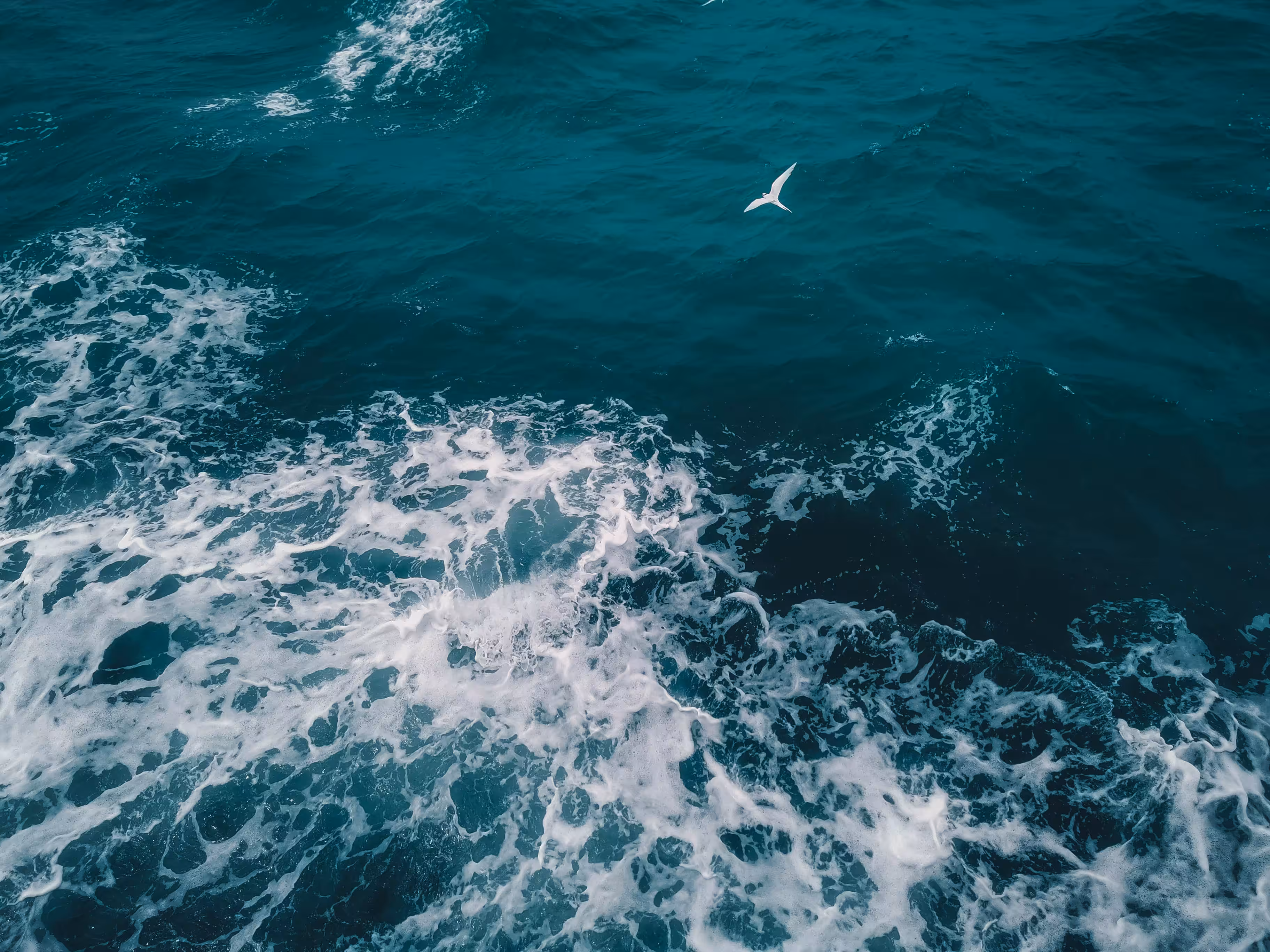 Be Free 