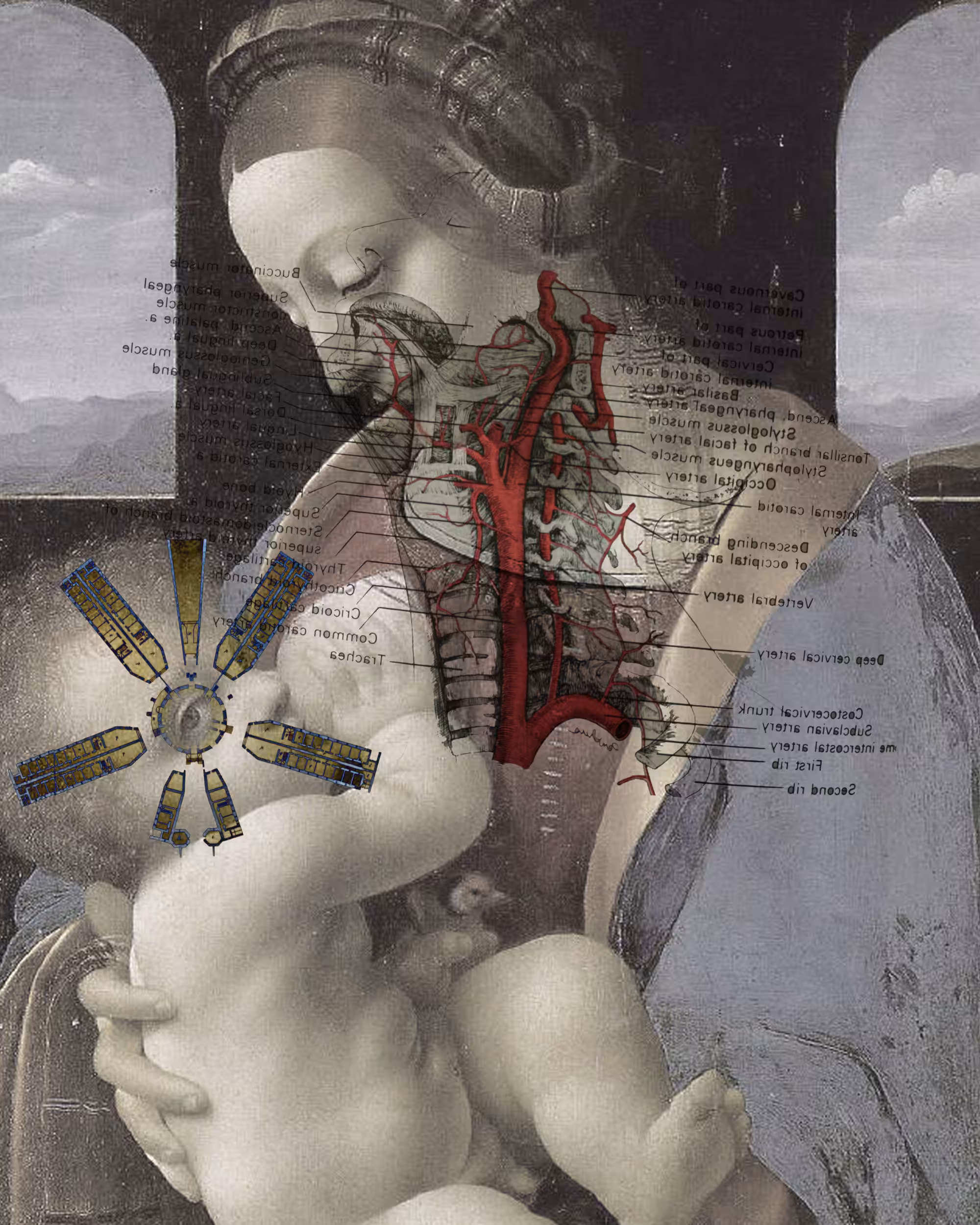 Madonna Edit, 2017