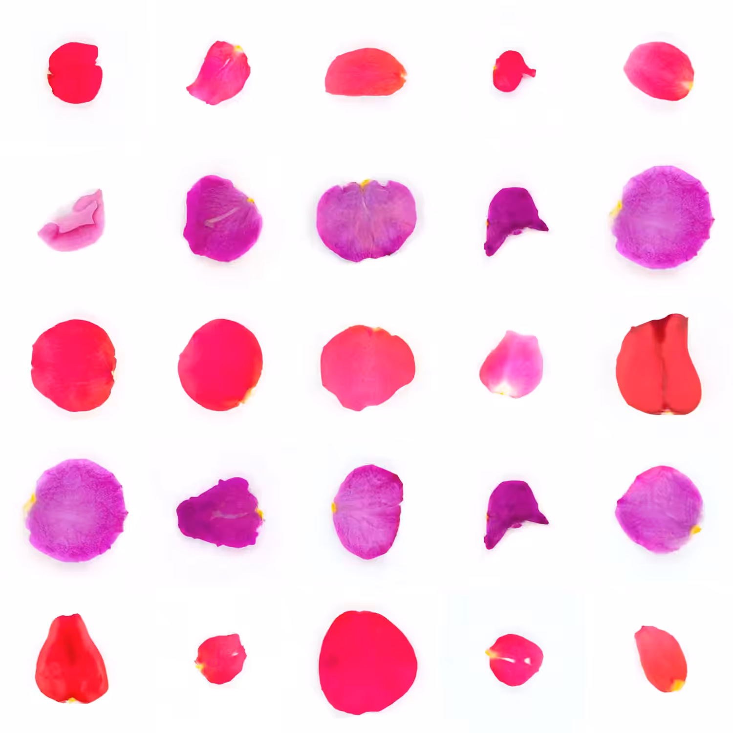 Infinite Petals 5x5#1908