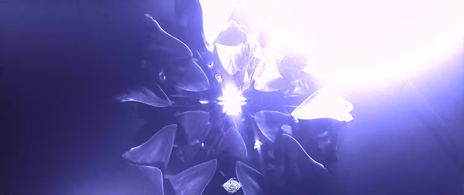Death Will Always Bloom
