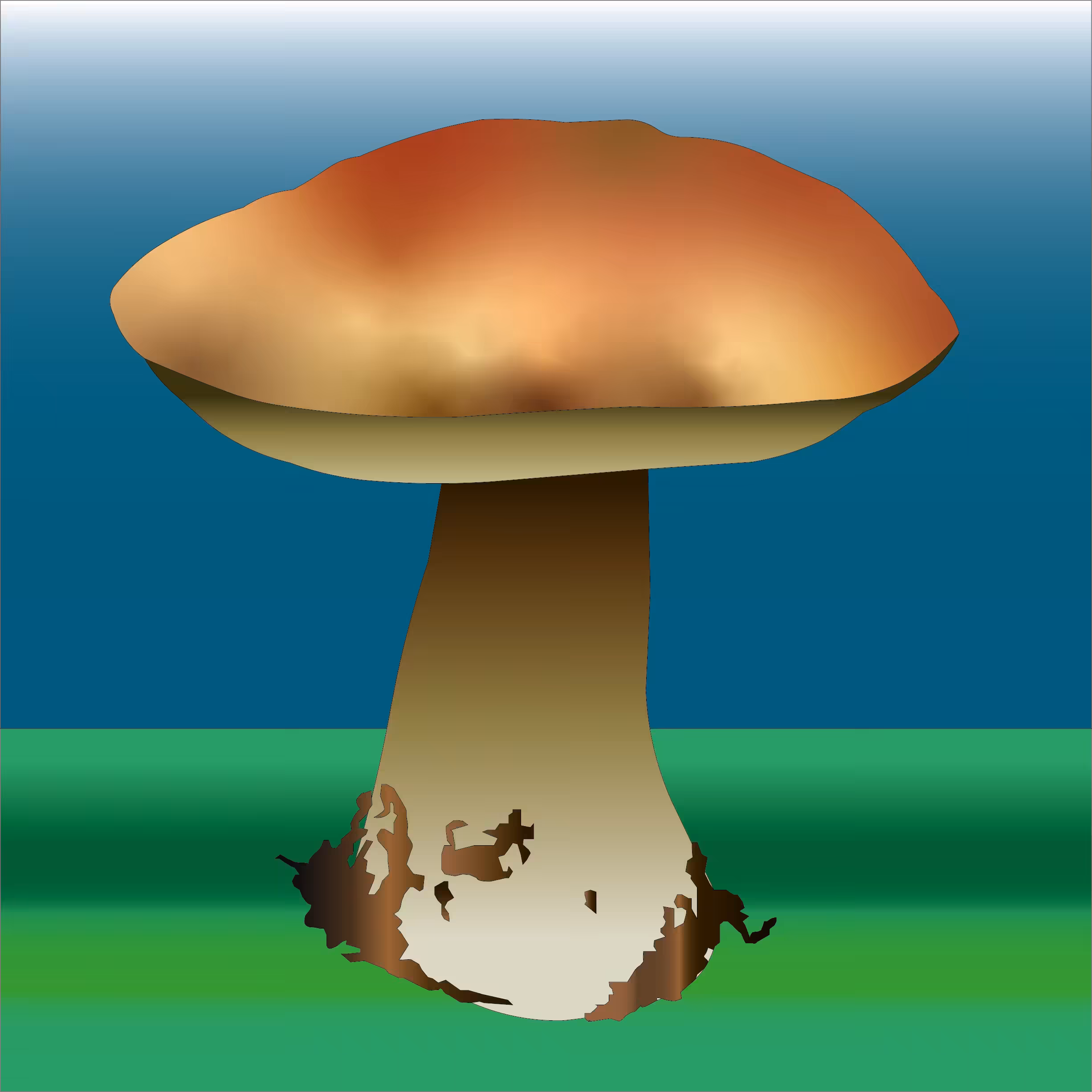 Porcini mushroom