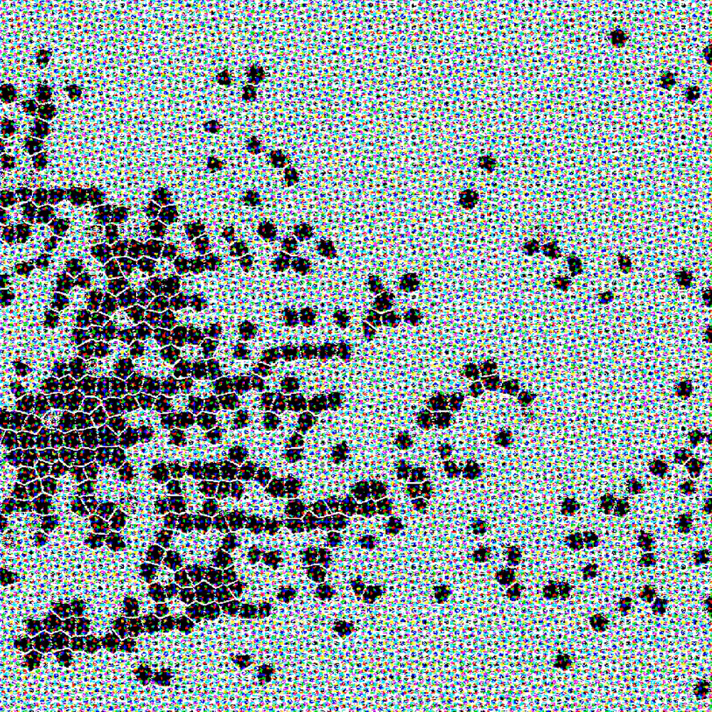 piece of 'O rchid. mo(u)lting' 0020