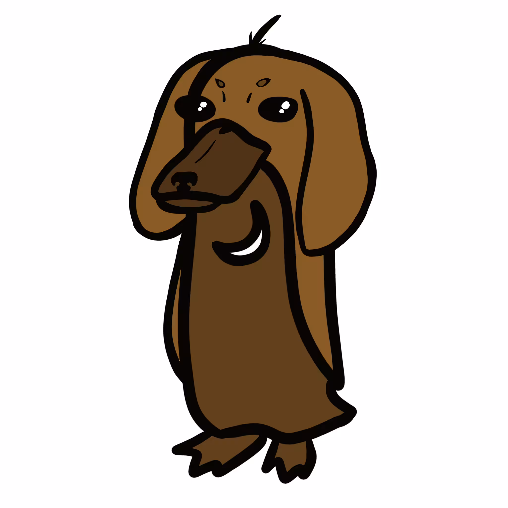 dachsie wassie