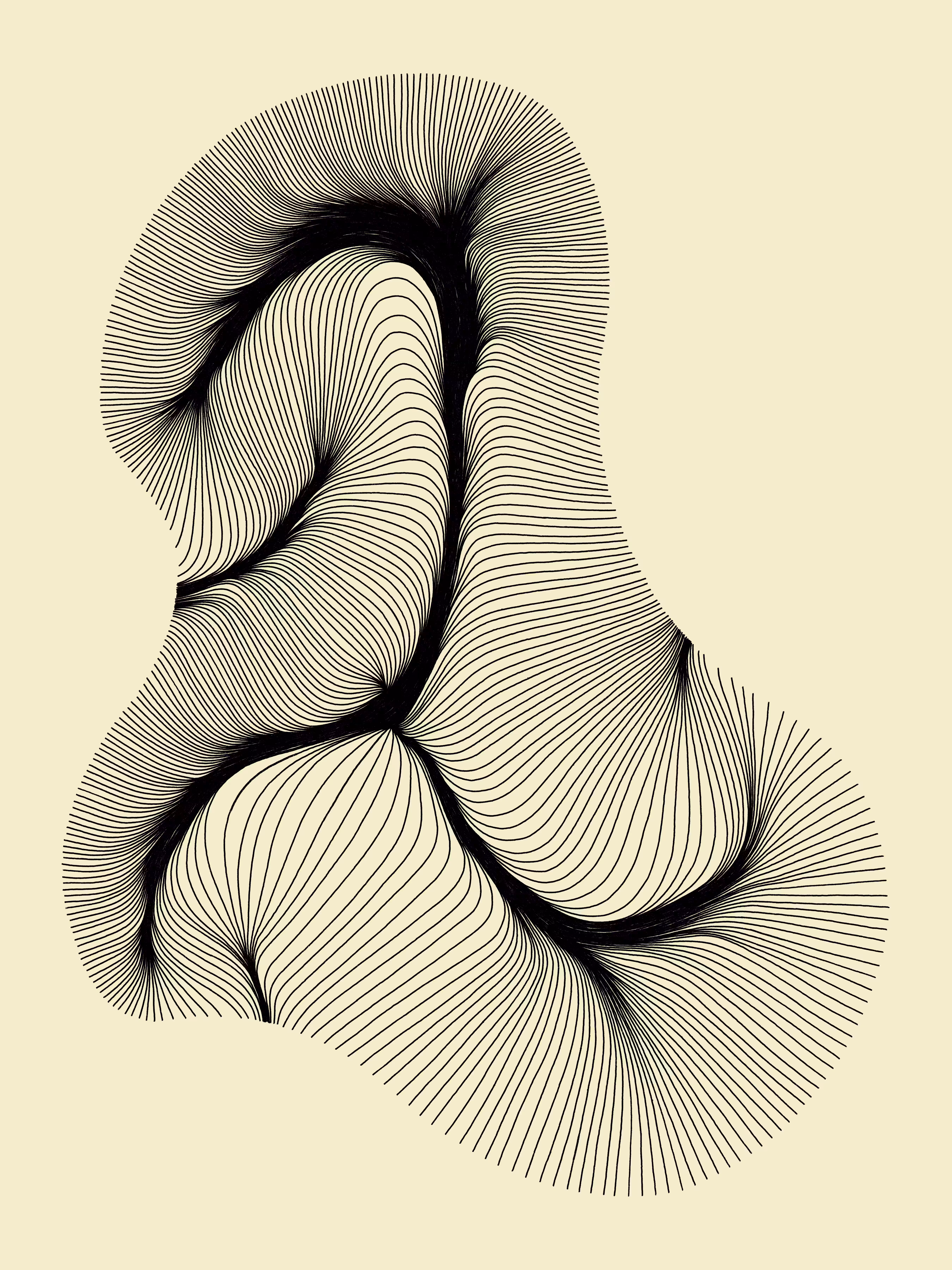 vergence 15
