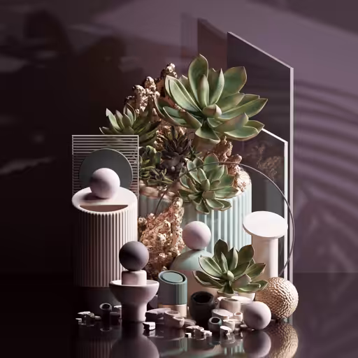 Forms+Shapes: Succulents V1